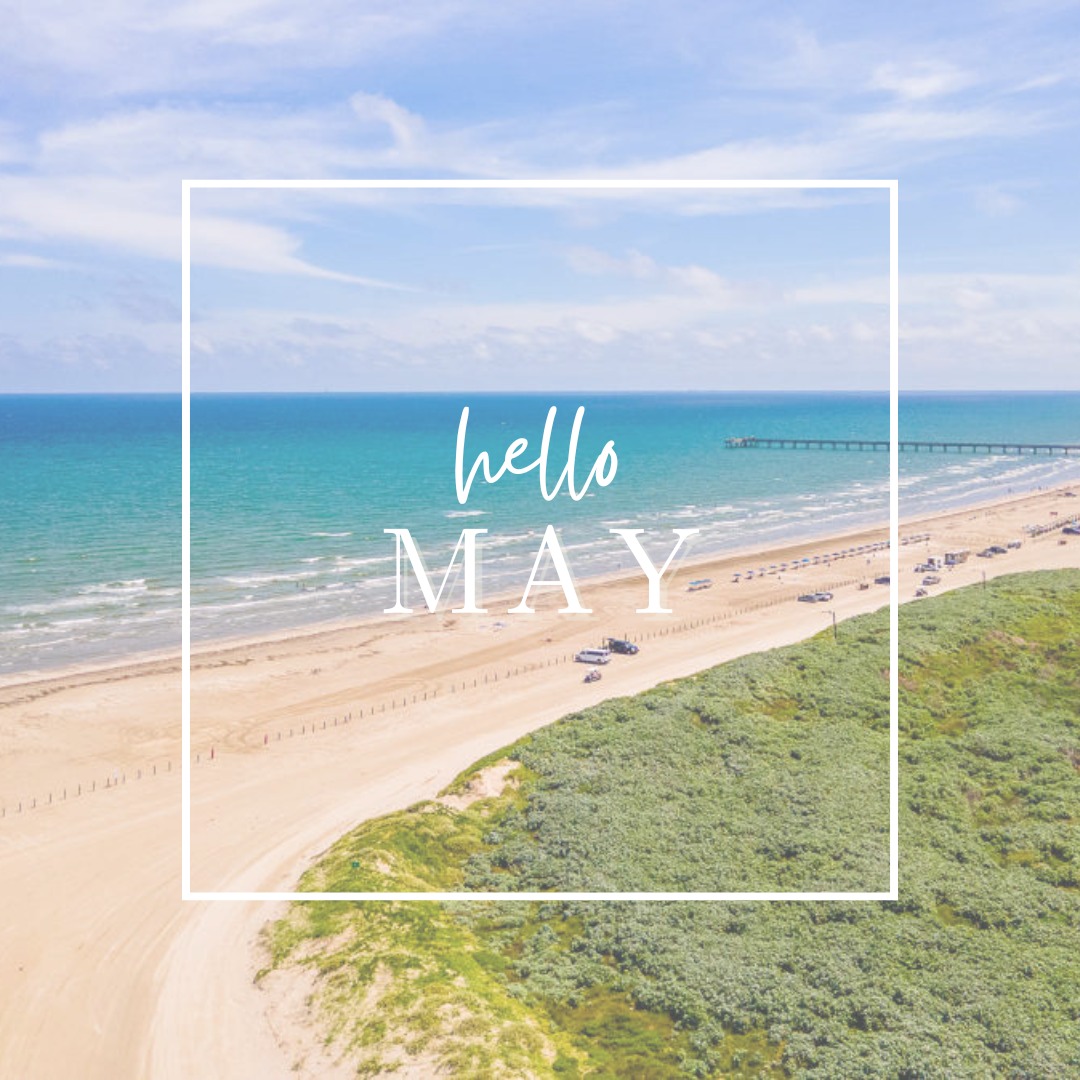 It's MAY! That means a few things...we're closer to SUMMER, but it still feels so so so far away. Instead of counting down the days to summer, why not book a last minute Maycation in Port Aransas? We have the following weekends available: May 8-10, 15-17, 29-31. Check out our link in bio to book!
Let's talk about why May is the best time to stay Port Aransas.
* No waiting around for a table, fewer crowds means hassle-free dining!
* The sun-drenched days and cool, breezy nights create the perfect backdrop for unforgettable moments by the water (and fewer bugs!)
* Ready to reel in those big catches and epic tales? Fishing spots are calling your name, with fewer crowds for more fun - and more to catch!
* Plus, let's not forget about last minute deals on lodging – more space, less hussle, and total relaxation!
Psst: Villa Blue has some fantastic last-minute spots just waiting for you to claim them! Get ready to dive into a Maycation in Port A!
Who's up for joining us for a month of thrilling adventures and laid-back vibes? Let's soak up the sun and create unforgettable memories together! 🍹🎣🏖
#PortAransasBound #portaransas #texasvacationrentals #portaransastx #villabluebeachhouse #portaransastexas #rentalswithpets #May #maycation #maycation