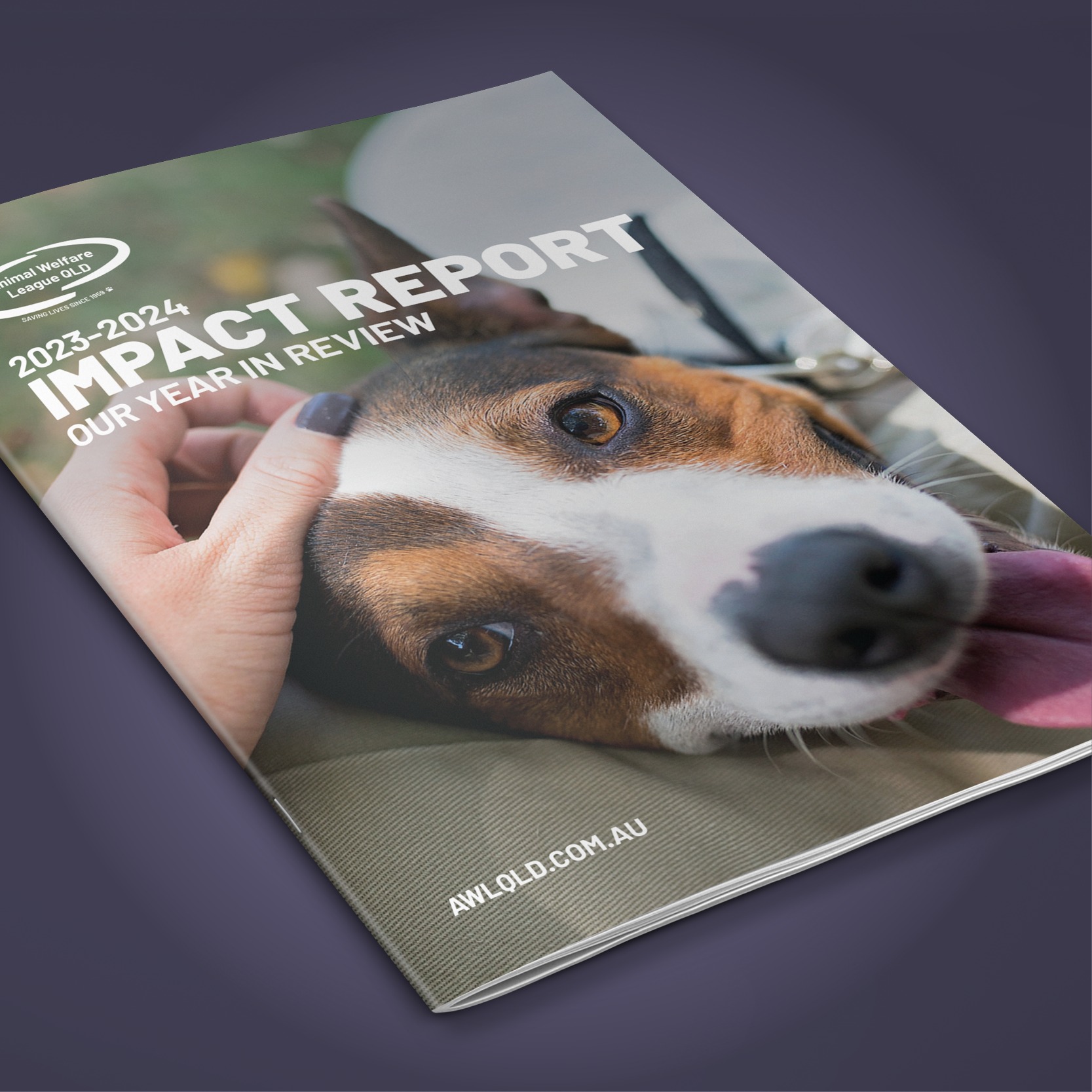 Recent(ish) design and artwork for the Animal Welfare League QLD Impact Report. Great to work with such an amazing charity!
#AWLQ #animalwelfareleagueqld