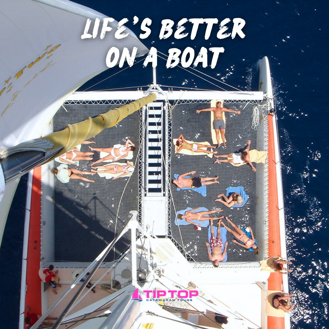 Who needs land when life's better on a boat? 🌊🛥️
Tip Top Catamaran is where the fun begins and worries float away. 🌞
Whether you're sailing into the sunset or snorkeling in crystal-clear waters, we've got the perfect escape waiting for you. Ready to live your best boat life? 🌴 Call us now!
#lifesbetteronaboat #tiptopcatamaran #boatinglife #oceanadventure #sailingfun #caribbeanvibes #sailaway #goodvibesonly #sunseafun #islandescape #tropicalparadise