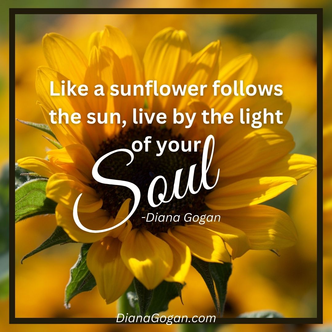 Your Soul Remembers.
You don’t need to become someone new—just return to who you’ve always been.
Part 1 of my 6-part newsletter series The Soul’s Journey – A Homecoming for Your Soul is now available. This issue invites you to slow down, reconnect with your truth, and begin the sacred act of remembering.
🌻Read it here: https://dianagogan.com/so/bePQYuD2o?languageTag=en&cid=b28ea273-9976-47da-9fc5-86231fc25a8d
🌻Go deeper with the companion blog Turning Toward The Light, Remembering Who you Are: [https://www.dianagogan.com/post/turning-toward-the-light-remembering-who-you-are
🌻Want to receive the rest of the series?
Sign up here to have it delivered straight to your inbox: https://www.dianagogan.com
#TheSoulsJourney #SpiritualCoaching #RememberWhoYouAre #SoulAwakening #DianaGoganCoaching