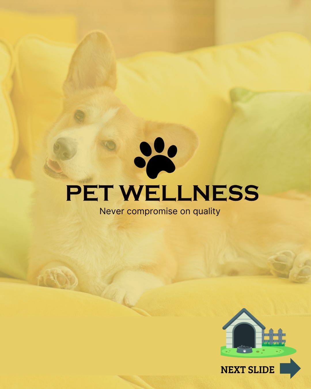 🐾 PETWELLNESS 🐾
Say hello to a pet-friendly product made just for dogs! 🐾
Backed by science, made with love — for a healthier, happier
life from puppy to senior. 💚
✅ No shortcuts, just pure quality for your furry best friend!
#PetWellnessPH #SpecialRecipe
#OptimalHealth #StressRelief #JointFlex
#petwellness #HealthyPet
****
🐶 FOLLOW & LIKE US
—for more paw-some updates! 🐾
📱 TikTok: petwellness.ph
📸 Instagram: @petwellnessph
👍 Facebook: PetWellnessPH
🛒 Shop on Lazada: lazada.com.ph/shop/petwellnessph
📞 Call/Text: 0917 152 9729��