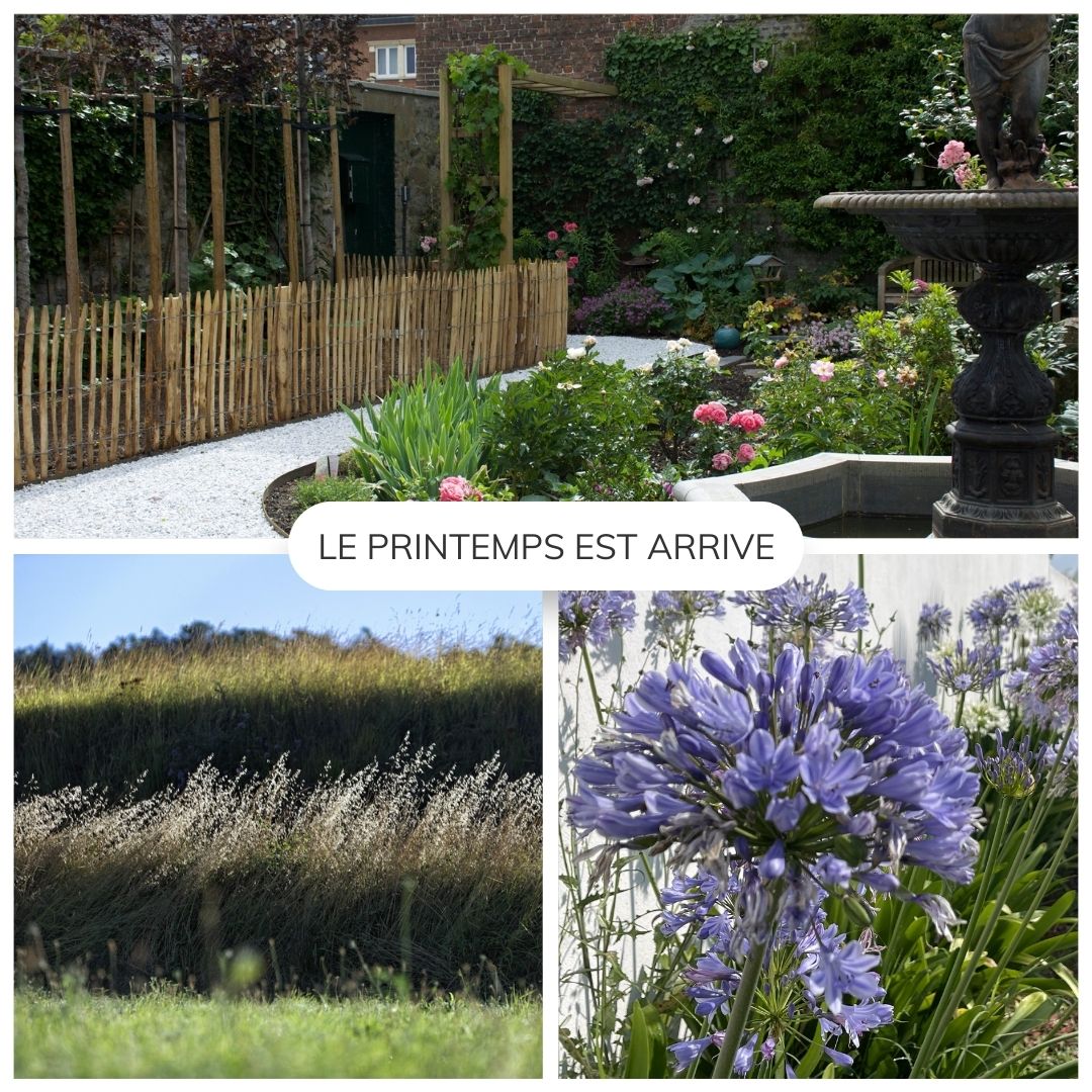 Bienvenue au printemps dans nos chambres d'hĂŽtes de Guest & House ! Alors que les bourgeons Ă©closent đ·et que les oiseaux chantent đŠ, c'est le moment idĂ©al pour une escapade dans la nature. âïž Offrez-vous une bouffĂ©e d'air frais et de douceur printaniĂšre lors d'un sĂ©jour parmi nous. Nos hĂ©bergements vous invitent Ă vous dĂ©tendre dans un cadre paisible et verdoyant, oĂč chaque jour est une nouvelle aventure Ă savourer. Laissez-vous enchanter par la magie du printemps ! đżđŒ
.
.
.
#printempsenchambresdhotes #cestleprintemps #escapadeprintaniĂšre #natureetdetente #fleurs #fleursdeprintemps #jardin #garden #spring #springflowers #flowerstagram #GuestAndHouse #bandb