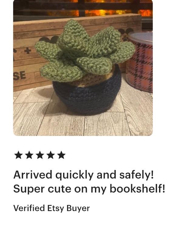 Received a 5 star review for my last crochet succulent. I love bringing happiness to customers and bookshelves too!
Check out my Etsy shop for more specialty items.
https://encydesigns.etsy.com
#handmadecrafts #crochethouseplants #shopsmallbusiness #etsygifts #nebraskabiz #supportlocal #handmadeisbetter