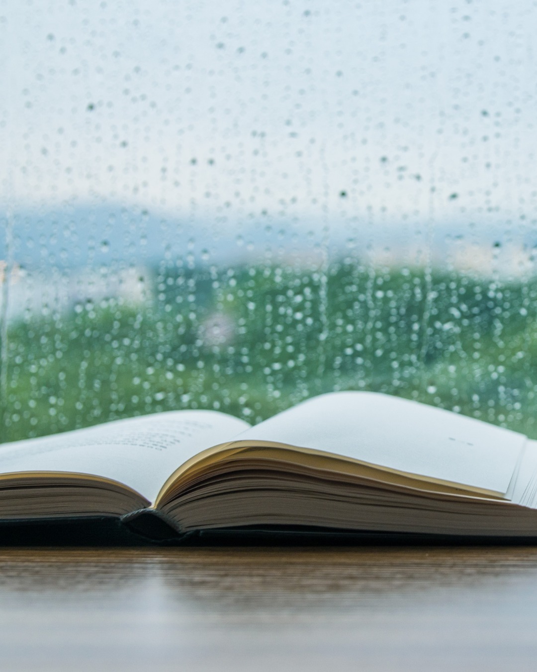 Word of the Day: Petrichor (English, coined in the 1960s)
Meaning: The earthy scent produced when rain falls on dry soil.
A smell that says “cozy reading weather.” It's also part of the psychic password to open the TARDIS' backup control room in Doctor Who.
#WordNerd #RainyDayReads #DoctorWho #TARDIS