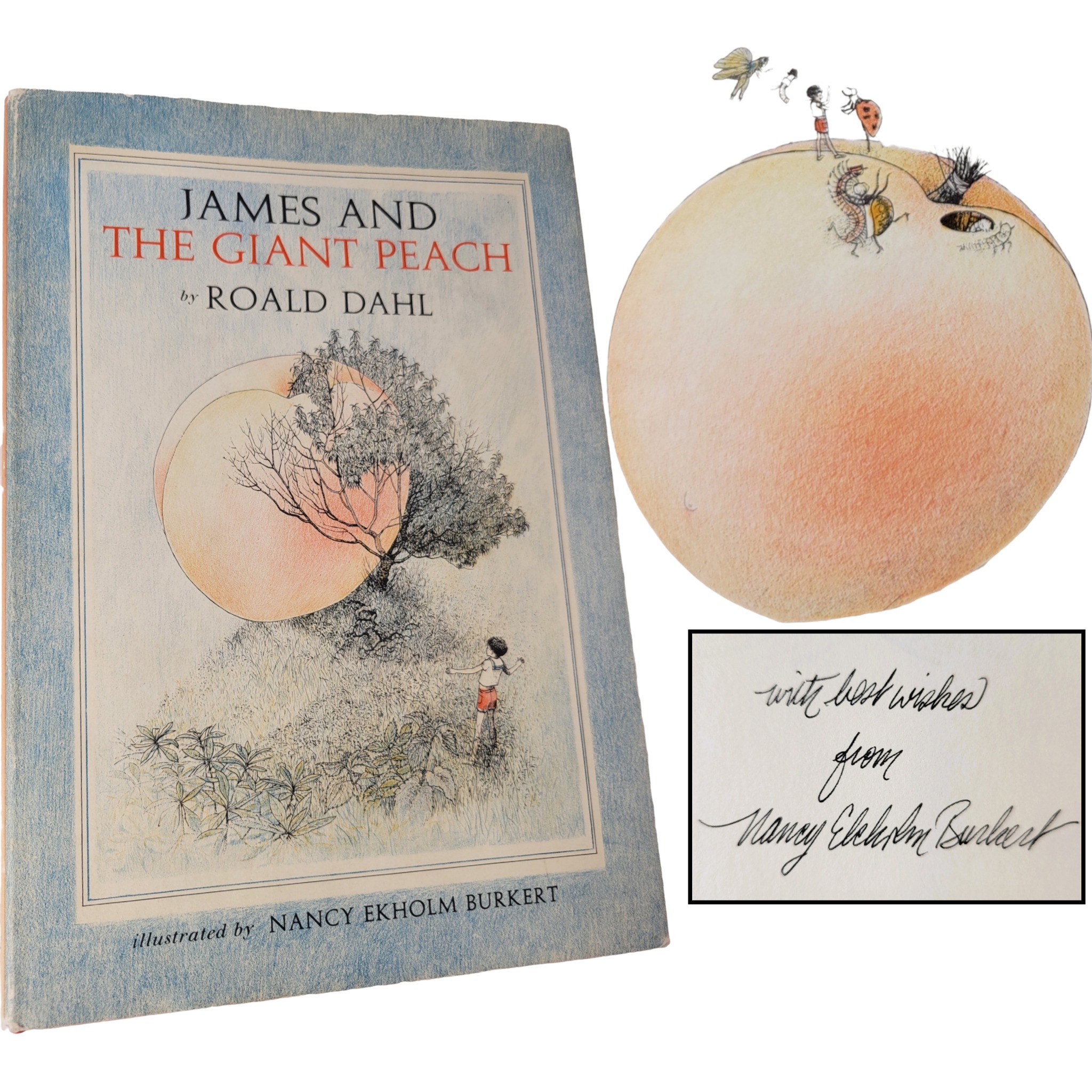 🚀✨ A truly special find for collectors and fans of Roald Dahl!
This very good early edition of James and the Giant Peach (1961) is signed by its iconic illustrator, Nancy Ekholm Burkert—an incredible touch to an already cherished classic. Published by Alfred A. Knopf, this first edition (though not the first printing) retains its original charm, with gorgeous reddish-orange cloth boards, gilt-stamped spine titles, and a subtly embossed James on the front cover.
Burkert’s breathtaking illustrations bring Dahl’s whimsical world to life, making this 119-page adventure even more magical. The dust jacket, though price clipped, remains in very good condition, showing only light signs of wear—perfectly preserving the essence of this early edition.
An absolute treasure for any Dahl enthusiast or rare book collector! 📖🍑✨
#JamesAndTheGiantPeach #RoaldDahl #RareBooks #BookCollectors #ChildrensLiterature #VintageFind #SignedEdition #NancyEkholmBurkert #roalddahlbooks #illustratedchildrensbooks