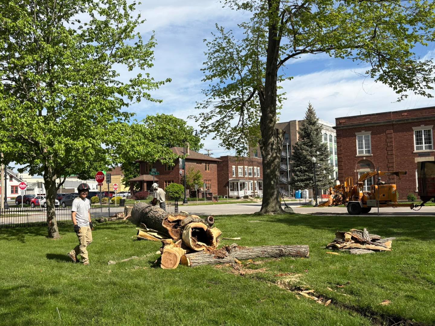 Balancing our desire for a beautiful arboretum alongside a safe arboretum is usually an easy path to walk. Yesterday and today we had planned on having three trees removed for safety reasons. During that process we concluded that we had to unfortunately remove two additional trees. We strive to keep every tree in our arboretum but sometimes it’s just time to let them go.
A huge thank you for the efficient, safe, controlled removals of these trees by Homestead Tree Experts! Here are some pictures and videos of the awesome work they’ve done here at Lane Place. For those concerned about the loss of the trees, last month we planted two new trees and have plans to plant more in the future!