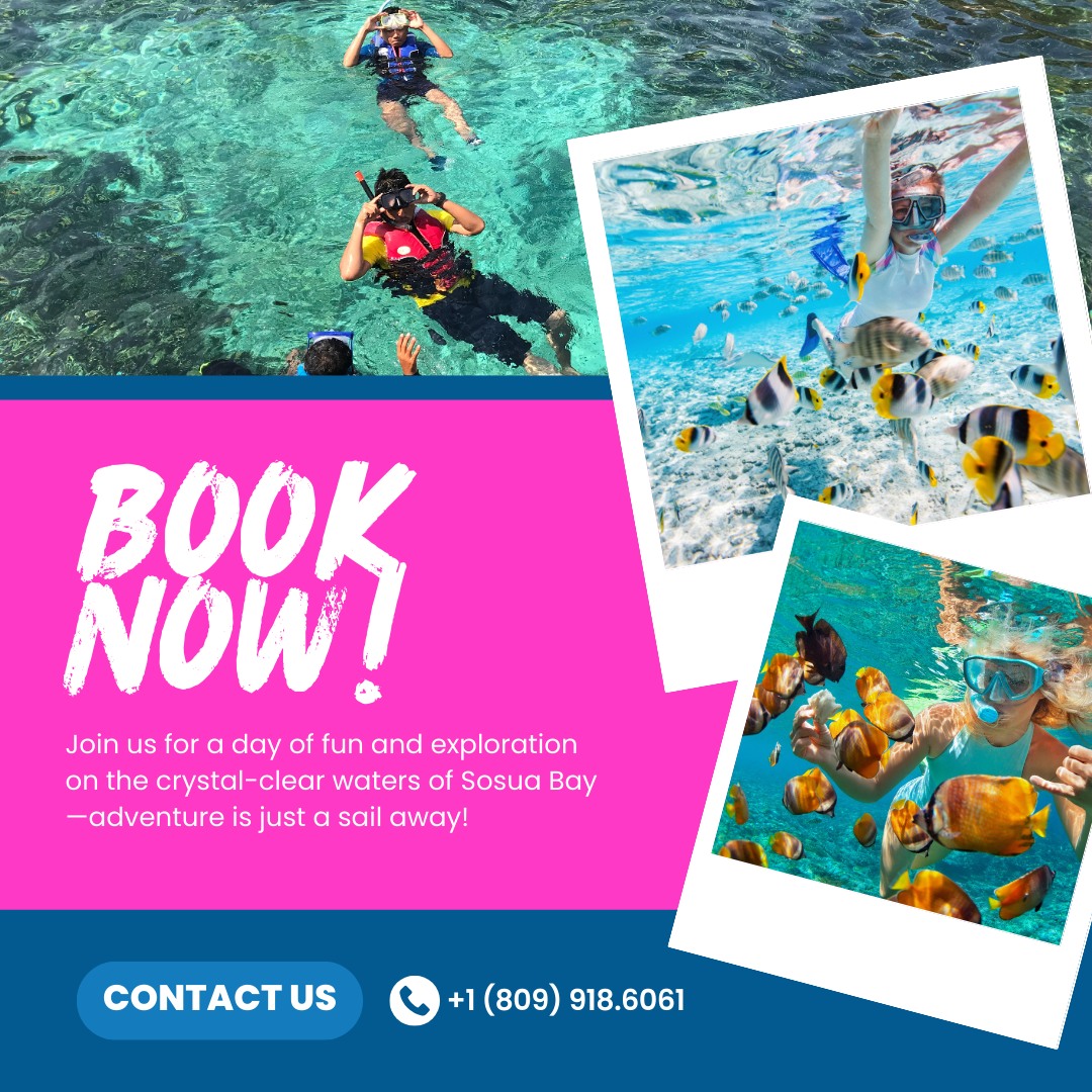 Searching for the ultimate mix of fun and exploration? Your adventure starts here! 🌊🌴
Climb aboard Tip Top Catamaran and set sail for a day filled with endless excitement on the stunning waters of Sosua Bay.
Ready to dive into unforgettable experiences and create memories that will last a lifetime?
Your next adventure is just a sail away! 🌞🚤
#trips #diveboat #divetravel #boat #snorkeling #vacation #traveltheworld #sailing #sea #beachlife #ocean