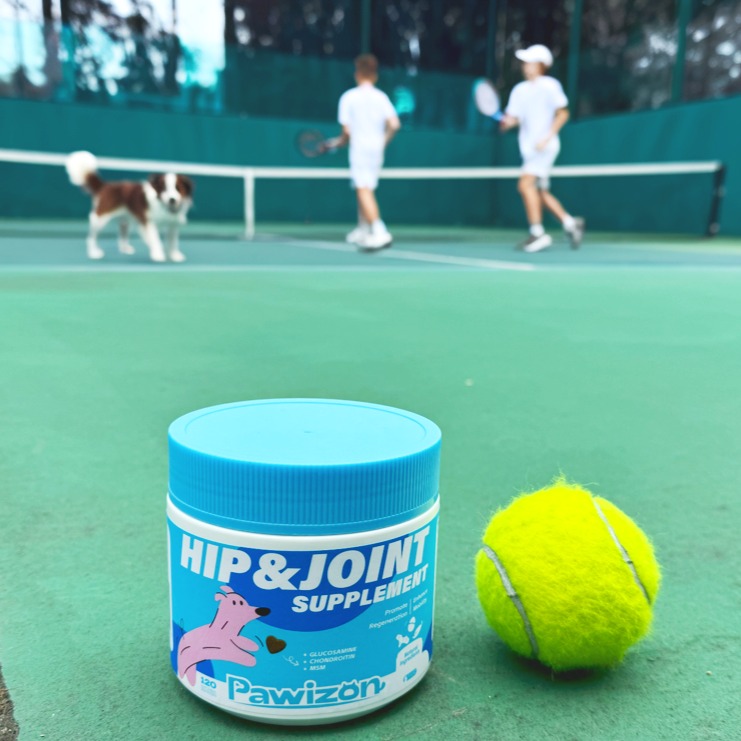 Ace every fetch. Powered by Pawizon. 💪🐶
👉 Shop now and give your dog the joint support they’ll thank you for — every time they run to you.
#Pawizon #DogSupplements #HealthyJoints #ActiveDogs #TennisDog #DogHealth #DogMom #DogDad #PetWellness #PupLife #SeniorDogLove #DogJointHealth #HappyPaws #dogsupply #dogjointpain #dogjoints #dogsupport #dogjointhealth #dogjointsupplement #dogjoint #doglover