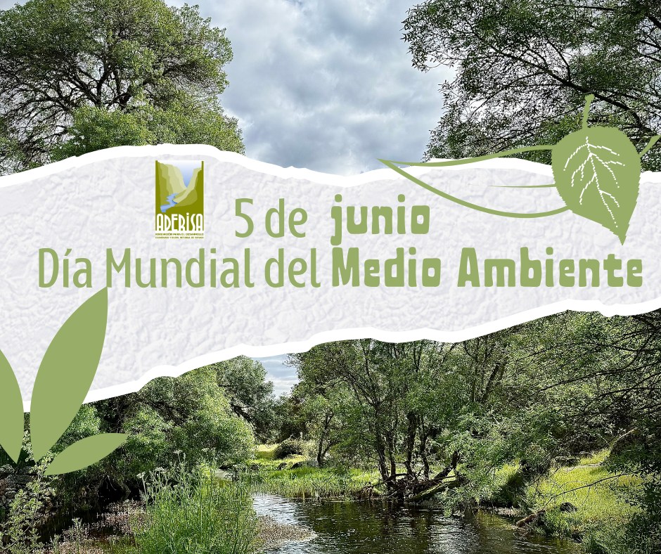 5 de junio, 🌿🍃 🌺𝐃í𝐚 𝐌𝐮𝐧𝐝𝐢𝐚𝐥 𝐝𝐞𝐥 𝐌𝐞𝐝𝐢𝐨 𝐀𝐦𝐛𝐢𝐞𝐧𝐭𝐞 🍄🍀🌳