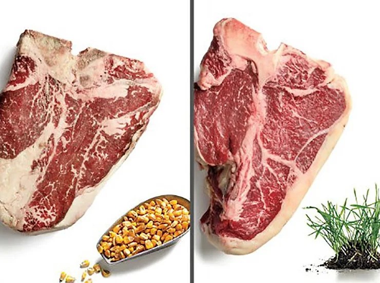 With so many choices, buying beef can be confusing. Grass Fed vs Grain Fed Beef? We're here to help you decode and help you buy the best!
Get in touch with our sales team to discuss the best option for you! Link in Bio,