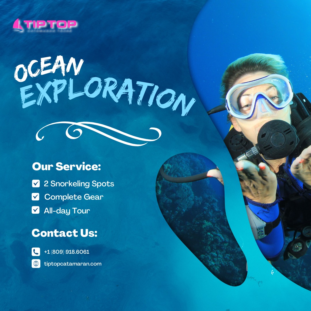 Ready for a full day of ocean exploration? 🌊🛥️
Join Tip Top Catamaran for an all-day tour where adventure knows no bounds. With complete gear provided and two incredible snorkeling spots to explore, you'll dive into a world of vibrant coral reefs and marine life. 🤩
Don't miss out—contact us today to book your spot! 🌞🐠
#divetravel #scubadiver #cruise #sailing #ocean #traveltheworld #sea #travel #tourist #vacation #snorkeling