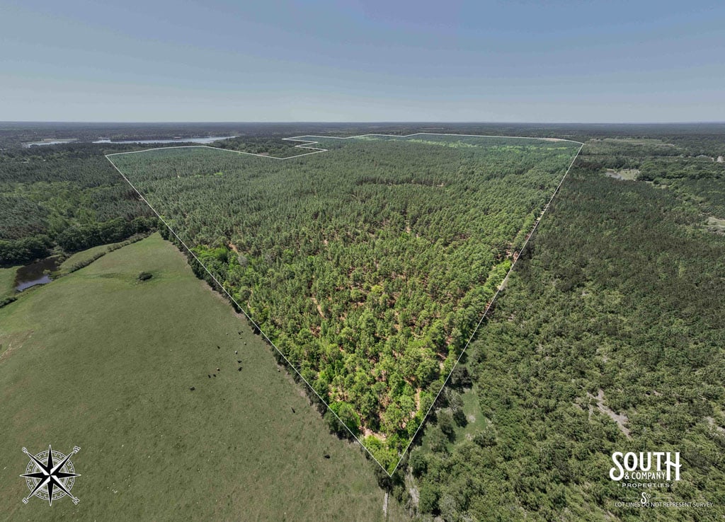 🌲 703± Acres | Lamar County, MS 🌲
Timberland, hunting, & investment potential all wrapped into one rare tract—just north of Little Black Creek Campground in Purvis.
✅ Rolling hills w/ merchantable pine
✅ Great road frontage
✅ No powerlines, pipelines, or railroads
✅ Loaded with wildlife
Opportunities like this don’t come around often. Ready to tour?
📞 Call Mike Mitchell at 601-550-3359
#MississippiLand #LandForSale #Timberland #LamarCountyMS #MikeMitchellLand #HuntingProperty #AcreageForSale