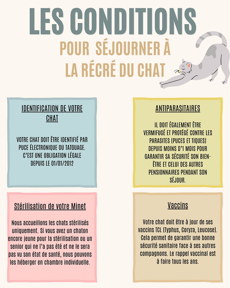 🔸 Pour que votre chat et ses copains de vacances soient protégés et restent en bonne santé, petit rappel de ce dont il a besoin avant de venir à l'hôtel 🗝️
#pensionfeline #chatstagram #chats #aixenprovence #sud #larecreduchat #pensionpourchats #pensionpourchat #bouchesdurhone #hotelpourchat #letholonet