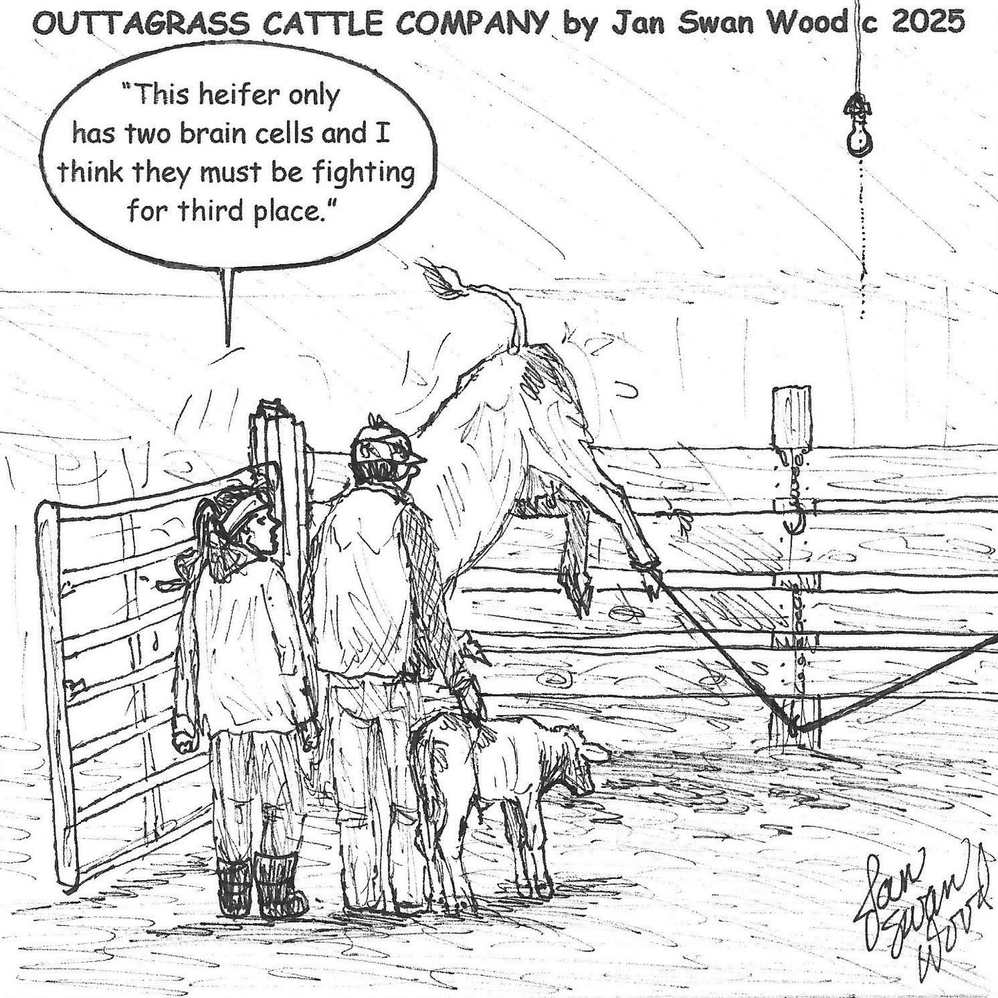 How’s calving going at your place?!
#calvingseason