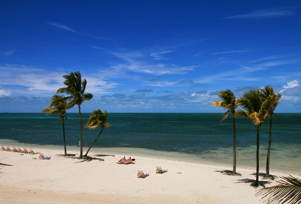 American Airlines just returned to Freeport, Grand Bahama this week, with daily nonstop service out of Miami. Next month, American Airlines will ramping up that route to twice-daily service – a significant lift for fall travel to the island.
#grandbahama #westendbahamas #bahamastravel #bahamasrentals #vacationrentals