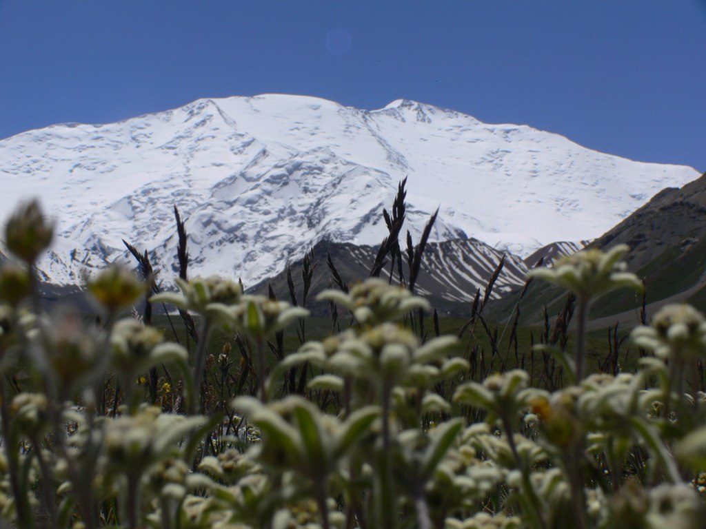 New Tour to Yukhina Peak in Kyrgyzstan – Discover the Heights of the Zaalay Range!
We are excited to announce a new tour to Yukhina Peak, located in the northern spurs of the legendary Zaalay Range, near the iconic Lenin Peak. This is a unique opportunity to conquer one of the most picturesque summits in the region, with breathtaking views of the majestic North Face of Lenin Peak (7134 m) and the vast Alay Valley.
Yukhina Peak is the perfect choice for those who dream of a true mountain adventure without the need for complex climbing equipment. The classic ascent route requires no ice climbing skills or rope work, but it does demand good physical fitness, endurance, and strong motivation.
What awaits you on this tour:
• Hikes along scenic mountain trails of the Zaalay Range.
• Incredible panoramic views of legendary seven-thousanders.
• The atmosphere of a high-altitude adventure.
• The satisfaction of overcoming yourself and reaching a new peak.
Conquer your own heights with this unique tour to Yukhina Peak! Apply today and discover the world of high-altitude adventures! #HikingTrails #Kyrgyzstan #AristaTravelAsia