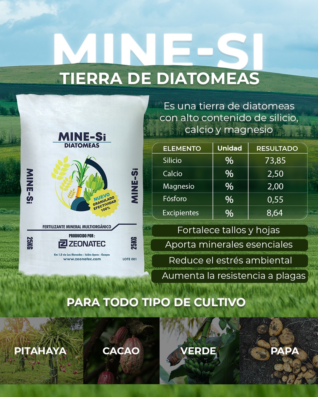 💪 Fortalece tus cultivos desde la raíz hasta las hojas con MINE-SI
Una tierra de diatomeas de alta pureza, con 73,85% de silicio, calcio y magnesio, que:
✔️ Mejora la estructura de la planta
✔️ Aumenta la resistencia a plagas y enfermedades
✔️ Disminuye el estrés ambiental
✅ Compatible con todo tipo de cultivo: pitahaya, cacao, verde, papa y más.
📦 Presentación en sacos de 25 kg
🌱 Aporta minerales esenciales y mejora la efectividad de tus fertilizantes.
🔗 Conoce más en www.zeonatec.com