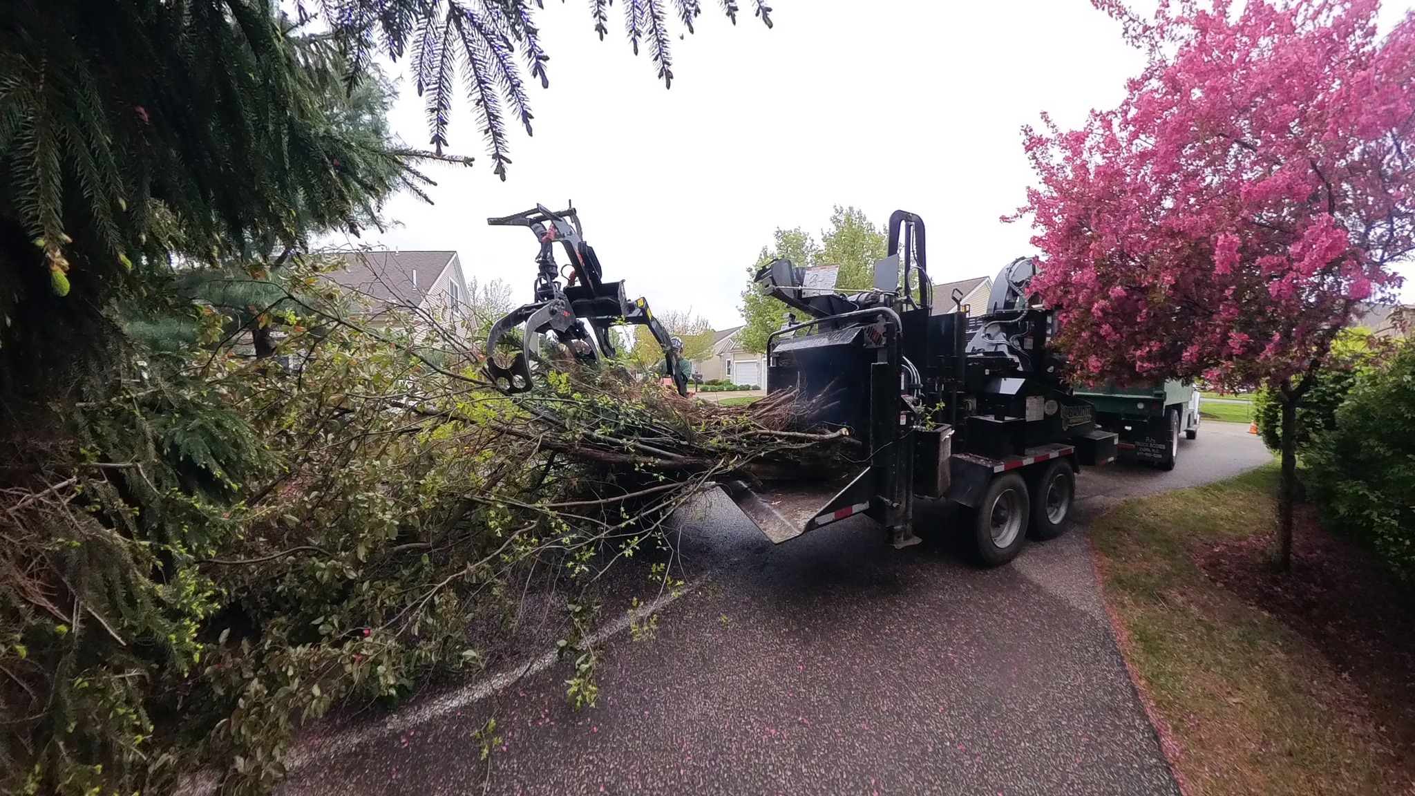 Spring cleanup in full swing! 🌸💪
Our crew is hard at work removing storm-damaged limbs and overgrowth to keep your yard safe, clean, and beautiful—all without leaving a mess behind.
From removal to cleanup, we handle it all.
WE KNOW TREES.