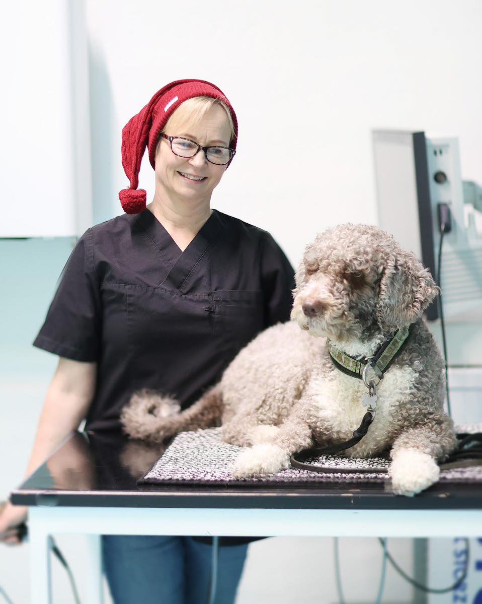Joululahja kaikille kasvattajille â iso uutinen LillvetistĂ€! đ
Olemme niin innoissamme ja ylpeitĂ€ saadessamme toivottaa lĂ€mpimĂ€sti tervetulleeksi Lillvet-tiimiin elĂ€inlÀÀketieteen tohtori, ECAR diplomatti Tuire Tammisen! đ©șâš Tuire tuo Lillvettiin huipputason asiantuntemusta ja kokemusta, joka vie lisÀÀntymispalvelumme tĂ€ysin uudelle tasolle.
đŹ Keinosiemennys, pehmytosakirurgia, urologia, lisÀÀntymisen endokrinologia â Tuire on asiantuntija, joka laajentaa ja syventÀÀ osaamistamme huimasti. Kasvattajille tĂ€mĂ€ tarkoittaa entistĂ€ monipuolisempia ja laadukkaampia lisÀÀntymispalveluita!
đ Lillvet Tampereella Tuire tarjoaa koirien lisÀÀntymispalveluita jo nyt, mutta vielĂ€ parempaa on tulossa! Kangasalle on rakenteilla tĂ€ysin uusi, moderni lisÀÀntymiskeskus, joka on suunniteltu palvelemaan kasvattajen kaikkia tarpeita.
Tavoitteemme on Suomen kattavimmat lisÀÀntymispalvelut â meiltĂ€ saat apua kaikessa, mitĂ€ koirien jalostustyössĂ€ tarvitset:
â
Seuranta tiineyden alusta loppuun
â
Viralliset tutkimukset
â
Spermanpankki
â
LisÀÀntymisongelmien selvitys
â
Keinosiemennykset
â
Spermanlaadun tarkastukset
â
Tiineystutkimukset
â
SynnytyspÀivystyksistÀ aina pentujen syntymÀÀn saakka!
Laitamme joulun jÀlkeen lisÀÀ infoa Tuiresta ja uusista palveluistamme.
Lillvet on kumppanisi, joka tukee sinua jalostustyössÀ kiimaseurannasta aina pentujen syntymÀÀn saakka. Tavoitteenamme on luoda pitkÀaikaisia suhteita teihin asiakkaisiimme, jotta voimme yhdessÀ viedÀ jalostustyötÀnne eteenpÀin! Onhan Lillvetin omistaja Jukka itsekin kasvattaja ja ymmÀrtÀÀ kasvattajien haasteita.
đTervetuloa Tuire! đ #Lillvet #Kasvattajat #ElĂ€inlÀÀketiede #LisÀÀntymispalvelut #TervetuloaTuire