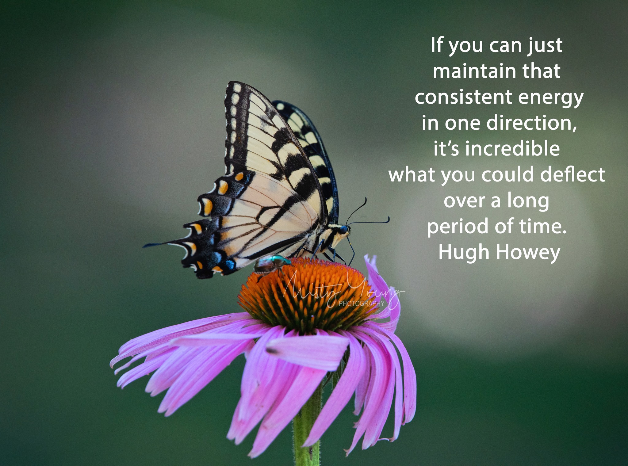 🚀 "If you can maintain that constant energy in one direction, it's incredible what you could deflect over a long period of time." – Hugh Howey 💥
Staying focused on your goals is like charging forward with a relentless force—no distractions, no detours, just pure momentum. 💨 Whether you're chasing a dream, building a career, or even just trying to stay positive on a tough day, it's that constant energy that creates the power to deflect all the things that try to slow you down. 🌱✨
When you put your mind and heart into one direction, nothing can stand in your way. What’s your energy focused on today? Drop a comment below and let us know how you're keeping your momentum strong! 💬👇
Remember, small steps in the right direction add up to big victories over time! 🌟 Let's inspire each other to keep moving forward.
Like, Follow, and Share for more Pollinator Tips and Inspirational Posts! 🌻✨
pictured: a tiger swallowtail butterfly on native purple coneflower
#MomentumMatters #ConstantEnergy #StayFocused #KeepPushingForward #ChasingDreams #NeverGiveUp #MindsetMatters #FocusedEnergy #PositiveMomentum #StayOnTrack #WinningMindset #BeRelentless #DeflectTheDistractions #GoalGetter #DeterminedToSucceed #RiseAndGrind #StayInspired #AchieveGreatness #SmallStepsBigWins #PowerOfFocus #KeepMovingForward #FocusOnYourGoal #SuccessInTheMaking #InspiredAction #DailyMotivation #ForwardMomentum #PositiveVibesOnly #StrengthThroughFocus #EnergyIsPower