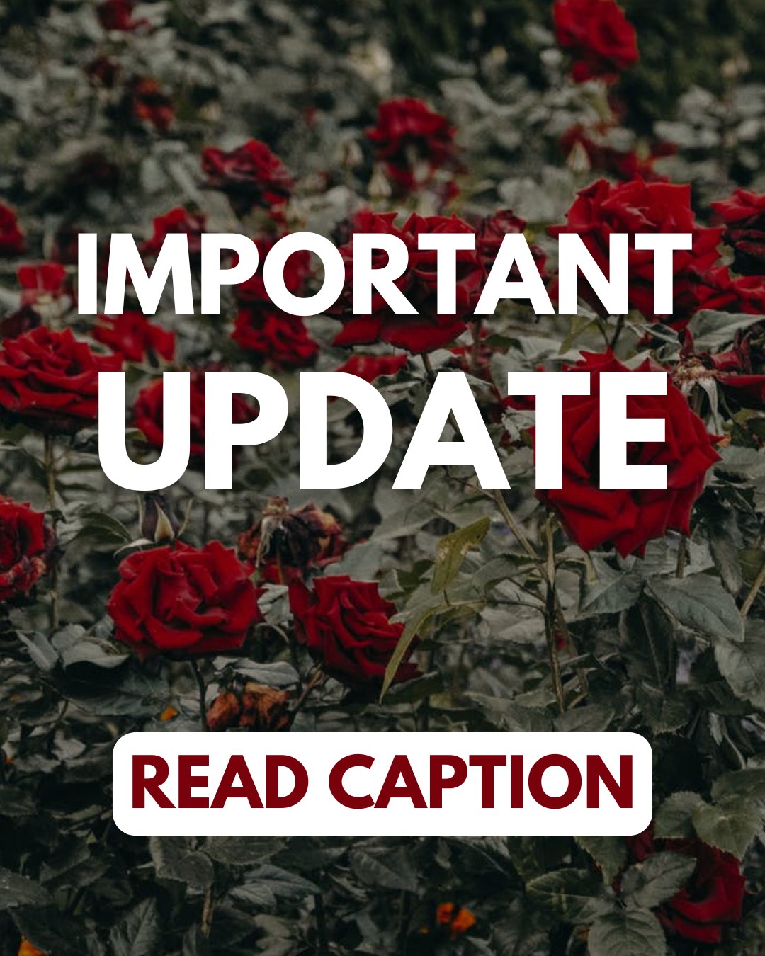 Friends & Readers of CF Roundtable:
Andrea Eisenman, our longtime graphic designer and executive editor, passed away in April after months of battling pancreatic cancer. She was a fundamental part of our organization and the definition of grit and perseverance. The CF community has lost a gem.
As for our publication, Andrea was central to getting this published each quarter. We will have to
take a break from publishing CF Roundtable until we find a new graphic designer and regroup as an organization. During this process, we are envisioning modernizing our design a bit and
switching to a biannual format.
Thank you for your continued support during this difficult time and season of change at
USACFA.
Sincerely,
USACFA Board of Directors
#CFawareness #cf #cysticfibrosis #chronicillness #cfawareness #cfroundtable #usacfa #cfwarrior #cfroundtable