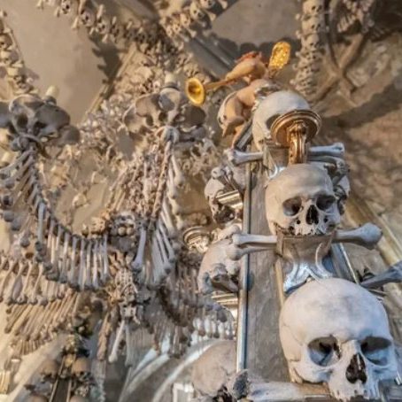 As Featured in The Hunter’s Daughter by Nicola Solvinic from @berkleypub
The Sedlec Ossuary (aka the Bone Church) located in Kutná Hora, Czechia is such a haunting setting and perfect for the Hunter’s Daughter. This is a place that I’ve longed to see in real life. I’ve got some ancestral connections to it, and I’m curious to see how the place feels in person. When I was younger, I thought it was a macabre and terrifying place in the photos I saw. Now… I’m not so sure.
Now available: (link to purchase in bio)
#nicolasolvinic #thehuntersdaughter #mysteryauthor #crimeauthor #thrillerwriter #criminology #crimefiction #crimethriller #crimenovel #suspensenovel #thrillebook #murdermystery #mysteryreads #booklovers #bookclub #newrelease #bookreview #SedlecOssuary #BoneChurch
