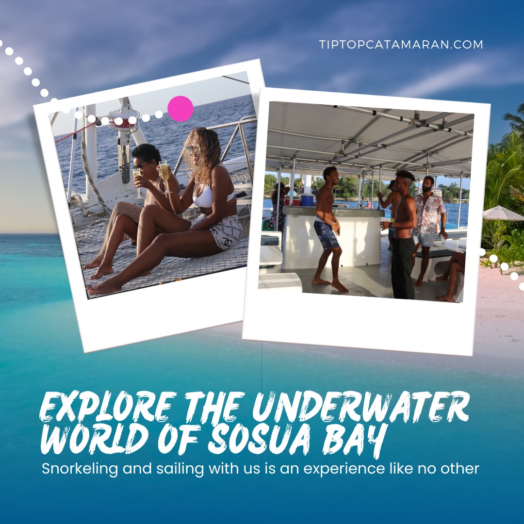 Ready to explore the hidden wonders of the sea? 🌊🛥️
Dive into the underwater world of Sosua Bay with Tip Top Catamaran and discover an experience like no other. Our tours are designed to offer you the best of both worlds—thrilling adventures and peaceful relaxation. Don't miss out on this unforgettable experience! 🌞🐠
#sailing #dominicanrepublic #travellovers #boats #divetravel #snorkeling #boat #ocean #islandlife #sea #bluesea