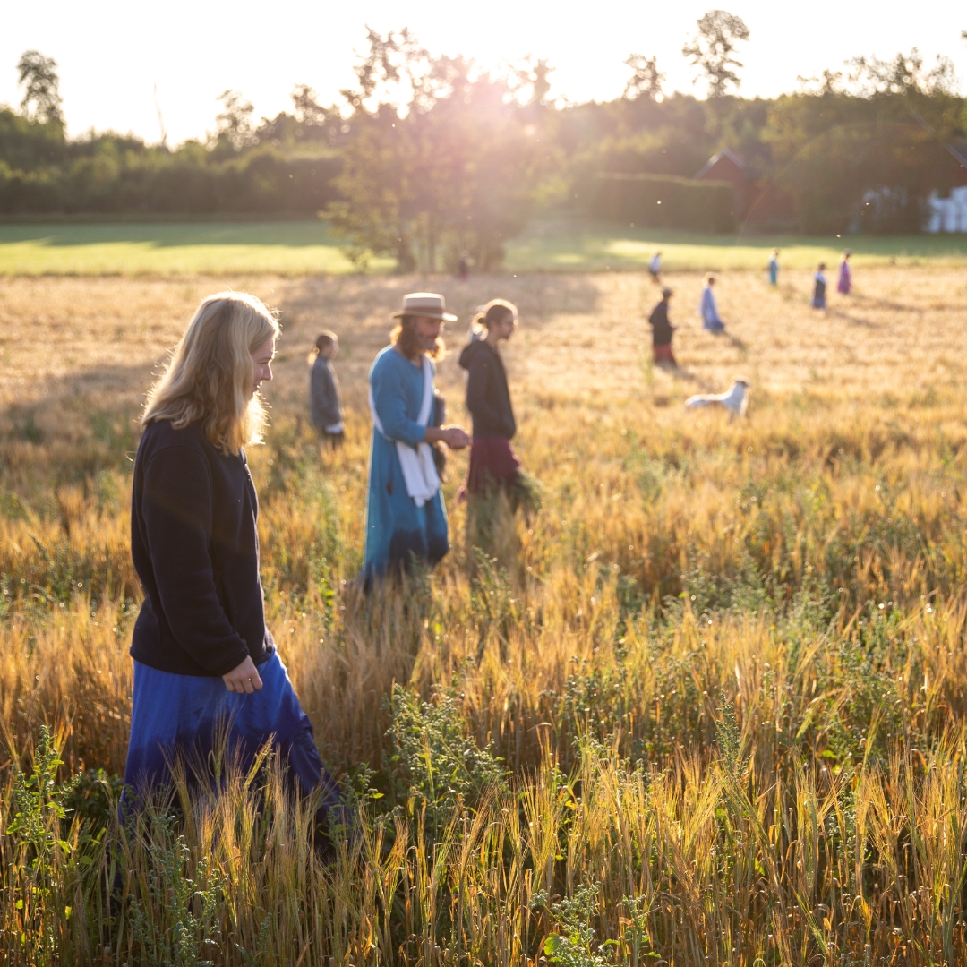 "Divinya's practical approach to spirituality allows me to open my heart every day a little bit more. I experience an awakening of all my senses. The sweet smell of flowers, the touch of the wind, the sound of the birds and the feeling of the morning freshness, becomes more vibrant and alive to me."
- Emma, Ecology & Spirituality Participant
#divinya #consciousnessshift #spiritualcommunity #innergrowth #ecospirituality #spiritualecology
