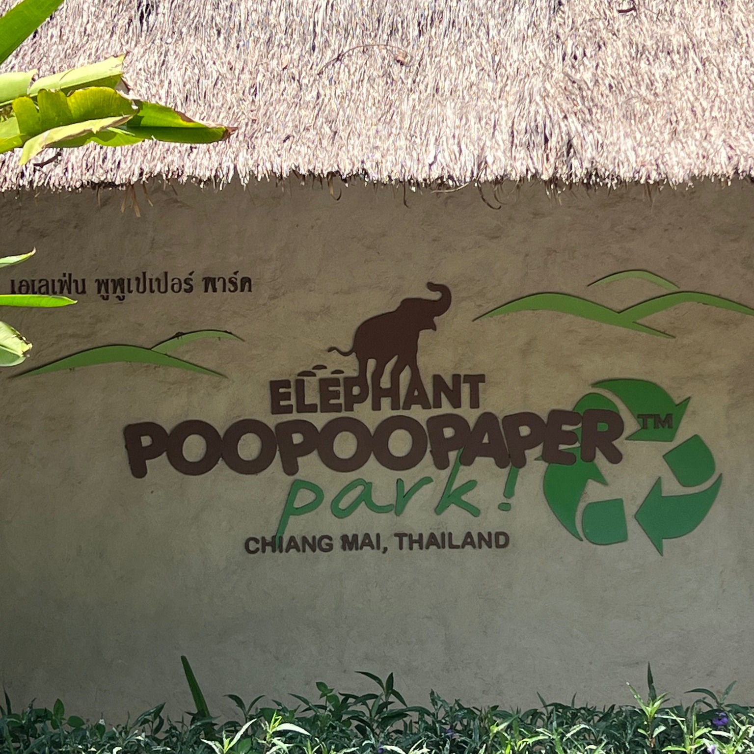 A super fun and educational day at the Elephant Poopoopaper Park! 🐘💩✂️
We learned how elephant poop is turned into eco-friendly paper — a creative and hands-on workshop that’s especially great for kids. A perfect mix of sustainability, laughter, and learning!
Highly recommended as a family-friendly stop when you’re in Chiang Mai! 🌿💚
👉 Want to include this activity in your private tour? Send us a message — we’ll plan it all for you!
#ChiangMaiWithKids #FamilyTravelThailand #ElephantPoopoopaperPark #EcoTravel #KidFriendlyActivities #SustainableTravel #ChiangMaiAdventures #ChiangMaiTour #ThailandWithKids