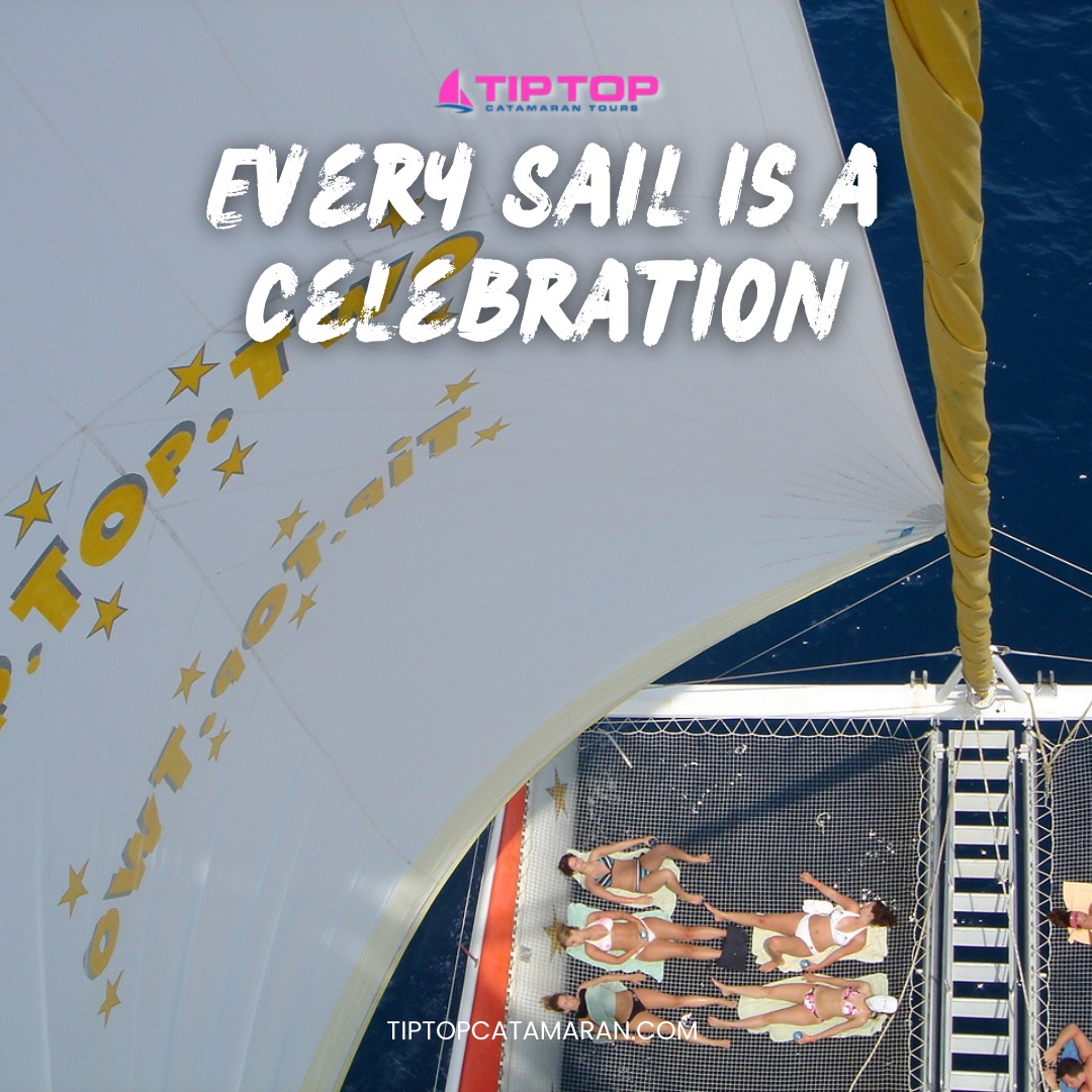 Every sail with Tip Top Catamaran is more than just a journey—it's a celebration! 🌊🎉
Celebrate the beauty of the ocean, the thrill of adventure, and the joy of spending time with the ones you love. 🤩
So come aboard, raise your glass, and let’s celebrate life on the water! 🌞🍹
#divetravel #islandlife #ocean #snorkeling #sea #travel #diving #diveboat #travellovers #boat #trips