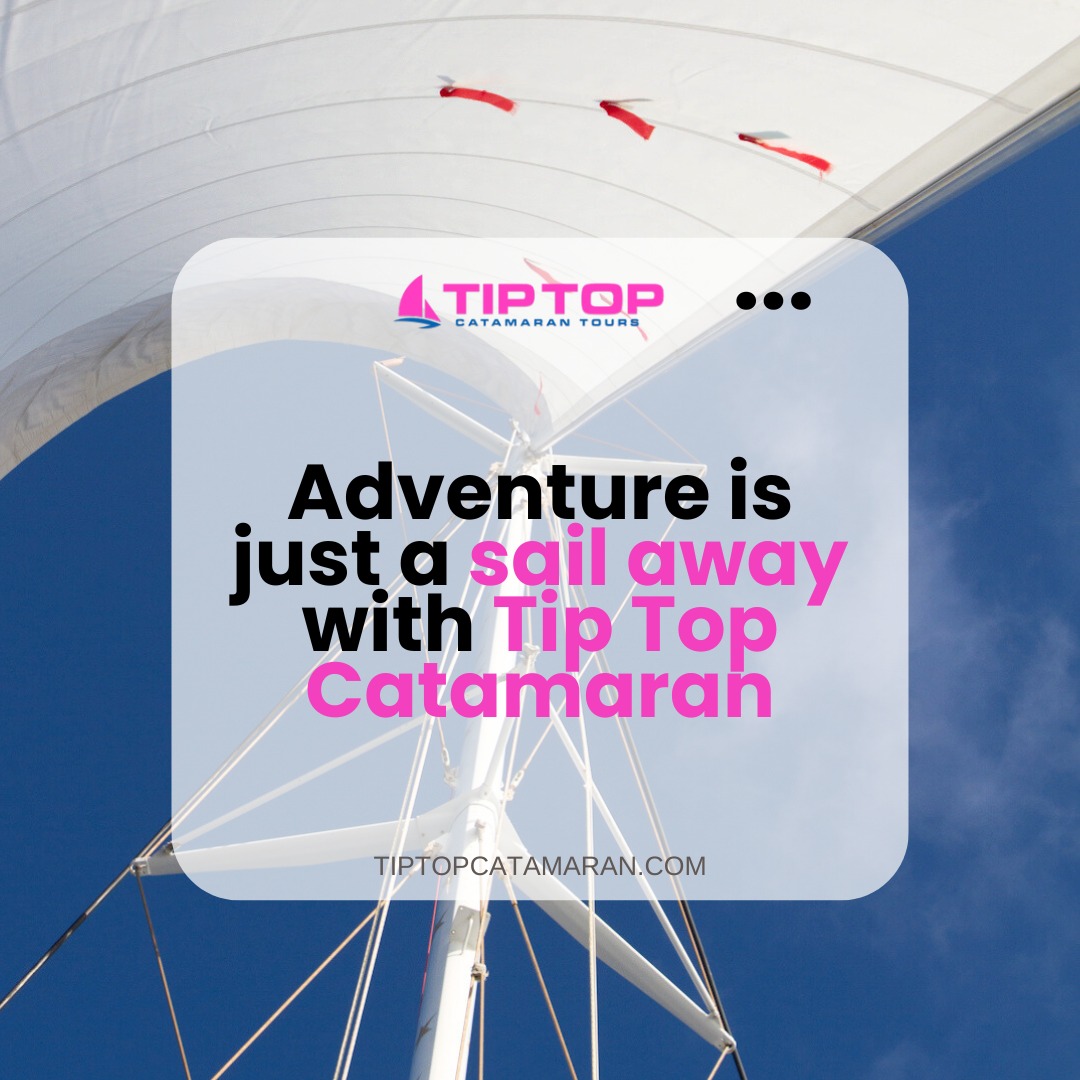 Looking for your next big adventure? 🌊🛥️
With Tip Top Catamaran, it's just a sail away! From snorkeling with marine life to sunbathing on deck, there's something for everyone. So why wait? Your adventure starts the moment you step on board! 🌞🌴
#tourist #bluesea #vacation #cruise #boats #diveboat #traveltheworld #divetravel #snorkeling #ocean #diving