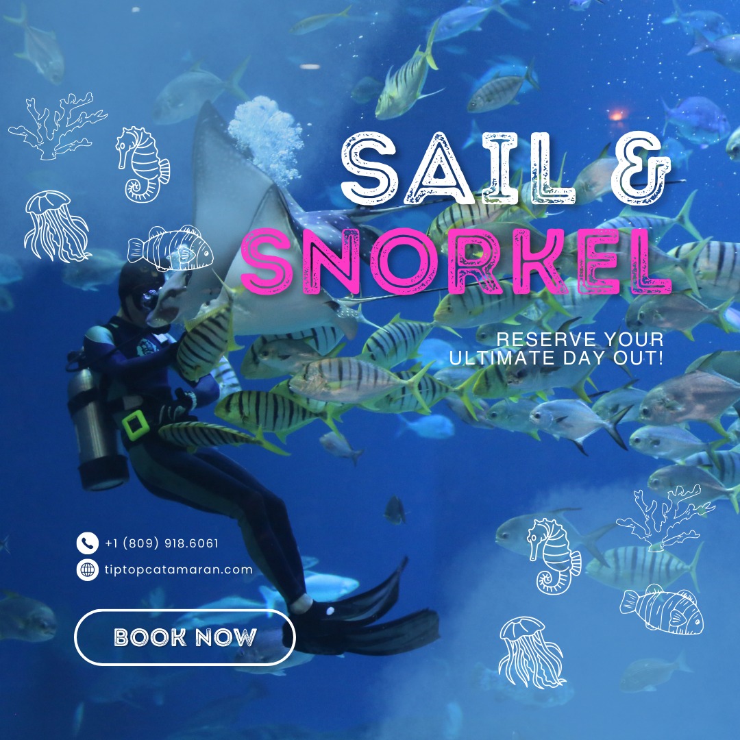 Ready for the ultimate day on the water? 🌊⛵
Get set for an unforgettable sail and snorkel adventure with Tip Top Catamaran! Dive into crystal-clear waters, explore vibrant coral reefs, and soak up the sunshine as you sail along the stunning Sosua Bay. With every wave, you'll discover the magic of the ocean and the thrill of adventure. 🏝️
Secure your spot now and let the fun begin! 🌞🐠
#sailing #ocean #diving #traveltheworld #boats #travel #travellovers #divetravel #sea #bluesea #vacation