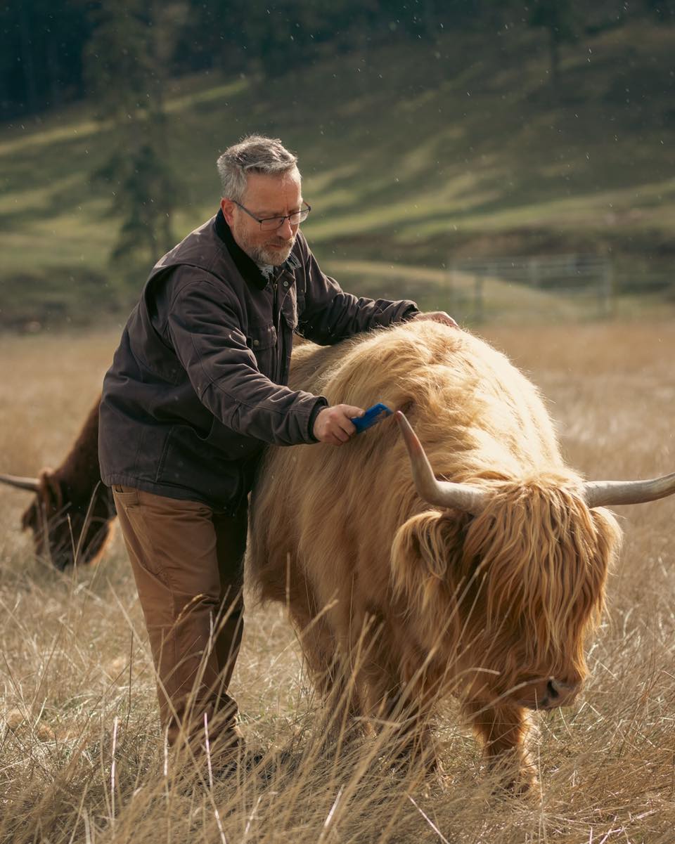 A good brushing is the way to this boss cow’s heart—and nobody does it better than Fred.
#kootneyphotographer #kootneylife #kootneysbc #ranch #cow #bull #highland #highlandcattle #highlandcow #highlandcattleofinstagram #farm #farming