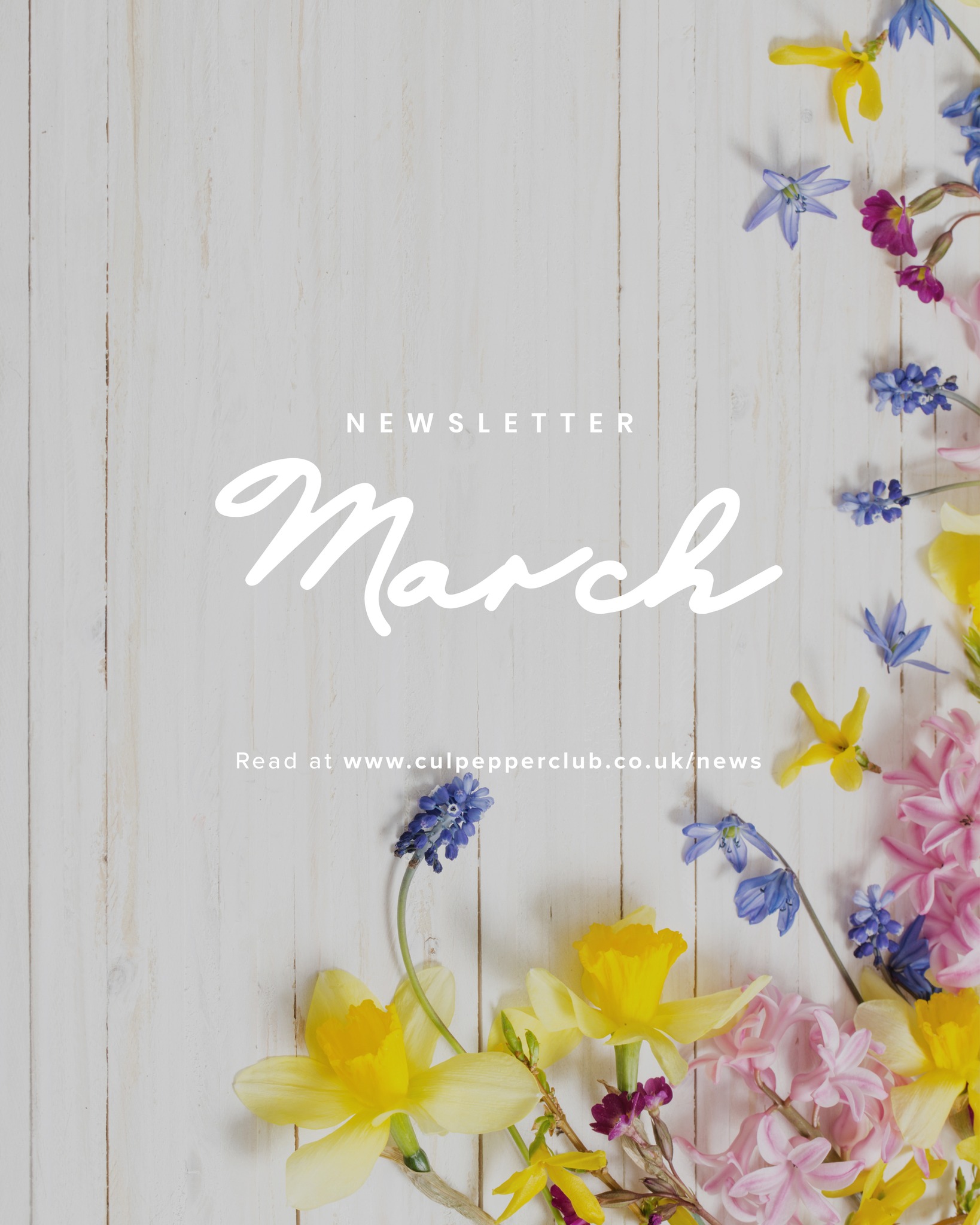 March's Newsletter is here! Read it at our website - link in bio.
#culpepperclub #culpeppersuk #news #linedance #linedancing #dance #class #basildon #essex