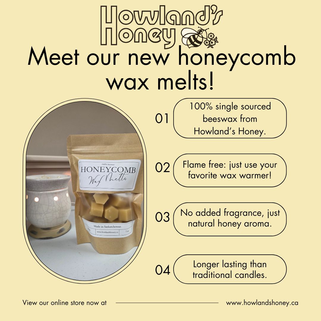โจ Experience the luxury of Howland's Honeycomb Wax Melts! ๐ฟ Crafted from 100% single-sourced beeswax from our third-generation beekeeping operation, these triple-filtered melts emit a delightful honey aroma that naturally elevates your space. ๐ Enjoy a longer-lasting fragrance compared to traditional candles by using any candle or wax warmer. Transform your ambiance with the purity and craftsmanship of Howland's Honeyโs exquisite wax melts! ๐ฏโจ #HowlandsHoney #WaxMelts #HomeFragrance #BeekeepingBeauty