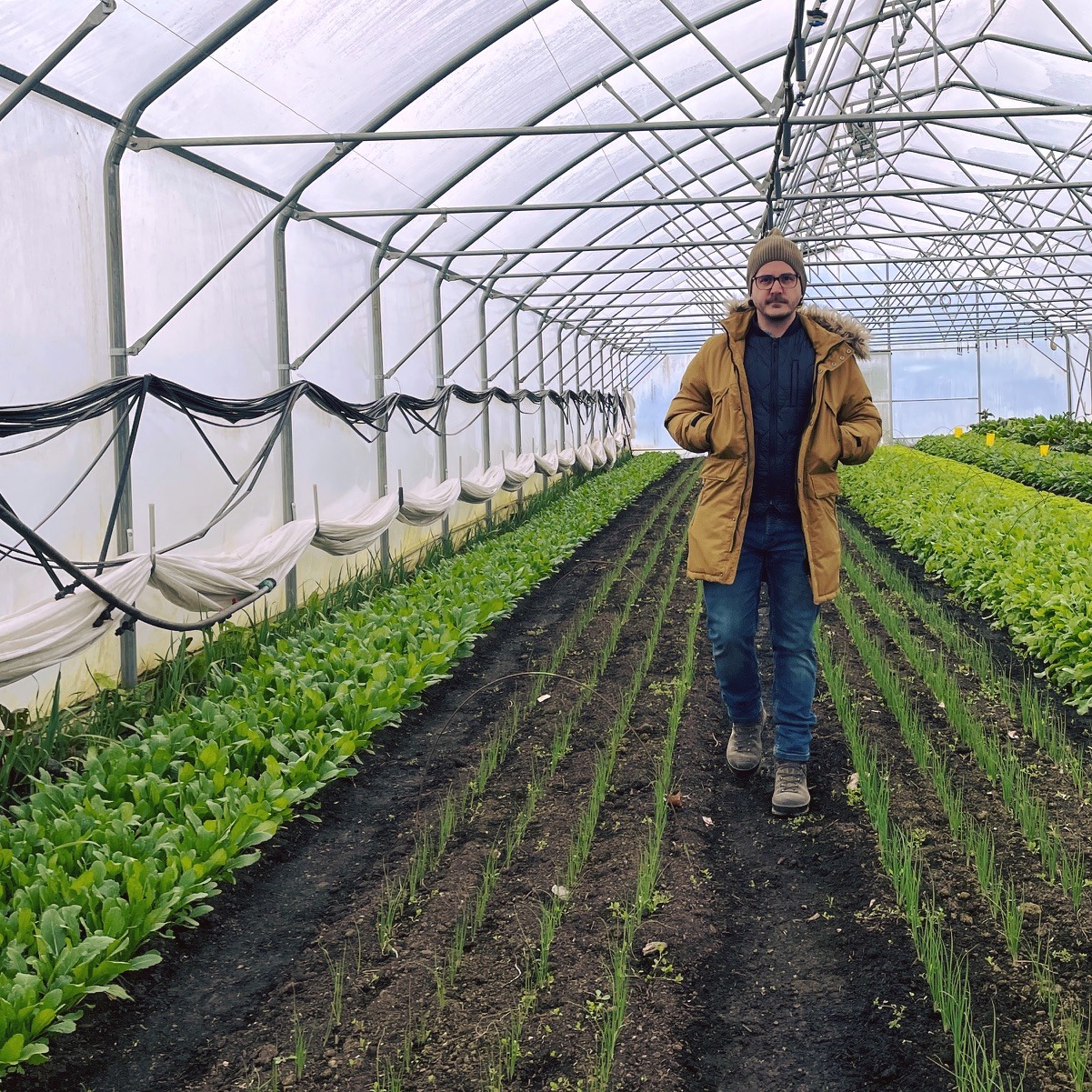 Tudtátok, hogy személyes ökológiai lábnyomunk közel 40%-a az étkezésünkhöz köthető? Ez egyben azt is jelenti, hogy naponta többször is lehetőségünk van dönteni - a testünket tápláló, helyi és szezonális, elsősorban növényi alapú ételeket fogyasztunk, ami nem mellesleg a bolygó és az állatok számára is kíméletesebb, vagy félrenézünk és a szőnyeg alá söpörjük a témát?
Tegnap (május 15) volt a Nemzetközi Klímaváltozási Akciónapja, aminek alkalmából kedves @gasztrohos barátaink kampányt szerveztek és összeállítottak egy pár nagyon érdekes infografikát a témában. Csekkoljátok!
De mit teszek én ezért? Azon túl, hogy növényi alapú étrendet követek 8 éve és igyekszem ezt a témát minél több szállodába, vendéglátóhelyre illetve magánszemélyekhez is eljuttatni, nemrég csatlakoztunk kedvesemmel a MagosVölgy Ökológiai Gazdaság közösségéhez. Nekik köszönhetően heti szinten kapjuk a vegyszermentes, szezonális és hihetetlenül finom (=tápanyagdús) zöldségeket. Ezúton is köszönjük munkájukat!
És mit tudsz te tenni?
1. Táplálkozz szezonálisan! Ez a téli időszakban lehet kihívás, de most már rengeteg csodás magyar alapanyagból válogathatunk. Télen pedig lehet fermentálni, mikrozöldeket és csírákat termeszteni.
2. Járj piacra! Keresd meg a hozzád legközelebb eső, lehetőleg termelői piacot, beszélgess a gazdákkal és merj új alapanyagokat kipróbálni.
3. Beszélj a témáról másokkal, készíts a barátaidnak vegán vagy vega ételeket! Ha neked fontos ez a téma és elfogadod, hogy mindenki máshol tart ezen az úton, biztos fogsz tudni rájuk hatni.