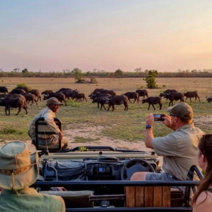 South Africa, known for its exotic wildlife and beautiful natural environment, is the perfect spot to embark on a truly unforgettable and luxurious safari adventure filled with once-in-a-lifetime encounters with incredible animals and natural wonders.
Starting in Cape Town, a spectacular city of beaches, fine dining and the infamous Table Mountain, you can start heading North into the Sabi Sands Game Reserve in Kruger, and further into Zimbabwe for Victoria Falls to discover the untamed beauty of the African wilderness.
Enquire with one of our travel specialists to book your South African Safari today at https://www.luxeworld.com.au/enquire/!
#Safari #SouthAfrica #Zimbabwe #Luxeworld #LuxuryTravel #LuxuryTraveller #LuxuryTravelAgency #LuxuryTravelExperts