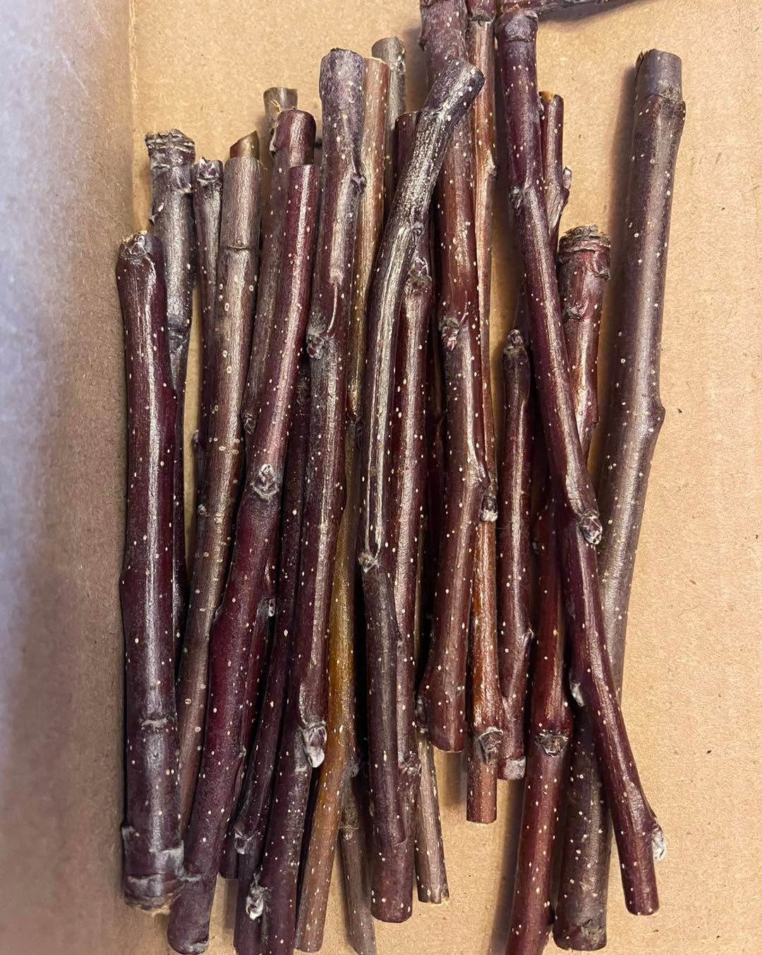 The last weekend of FREE shipping. 📦
🎉Every order goes into our huge giveaway for May!
🪵 Organic baked apple wood. Hand processed, triple rinsed, and baked in small batches.
Visit our website to place your order. If your fur baby is picky just let us know and we’ll do our best to send exactly what they want!
We do custom pieces if you need a special perch or accent piece for their cage. This includes birds, guinea pigs, rabbits, hamsters, rats, gerbils, and Degu. Even sheep, alpaca, donkeys, and dogs love our apple wood!
Free with purchase from 5/17 to 5/23 :
$50 and up - 1/4 Pound of Free End Bits and Pieces
$75 and up - 1/4 Pound of Coins
$100 and up - Mini Hanging Toy
$125 and up - Mini Sit ‘n’ Chew
We are/were the supplier for NOLA Chinchilla rescue. With Rick and Sue’s blessing we are welcoming anyone who was previously purchasing sticks from them. It’s the same great sticks you’ve always had, just coming directly from the source. 🍎
#chinchillasoftiktok #chinchillalife #smallpets #pets #chinchilla #chinchillas #chinnie #chinny #chinchillasoftiktok #exoticpet #smallpet #chinchillalove #chinchillalover #chinchillalovers
Link to our website to order is in the comments!👇