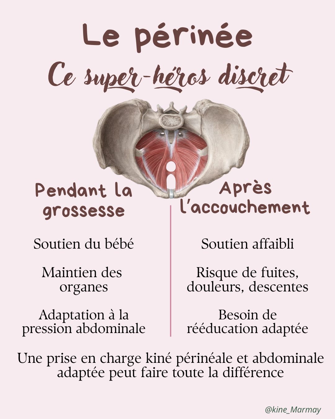 🧠 Tu connais ton périnée ?
Ce groupe de muscles si discret joue un rôle ESSENTIEL pendant la grossesse… et après l’accouchement.
Pendant la grossesse, il soutient tout ton monde intérieur 👶.
Après l’accouchement, il peut avoir besoin d’un vrai coup de pouce pour éviter les désagréments (fuites, douleurs, gêne intime…).
💡 Une rééducation périnéale ciblée, accompagnée par un·e professionnel·le, peut tout changer.
#kinesitherapie #postpartum #périnée #rééducationpérinéale #kinespecialisée #kine974 #femmeenceinte #rééducationpostpartum