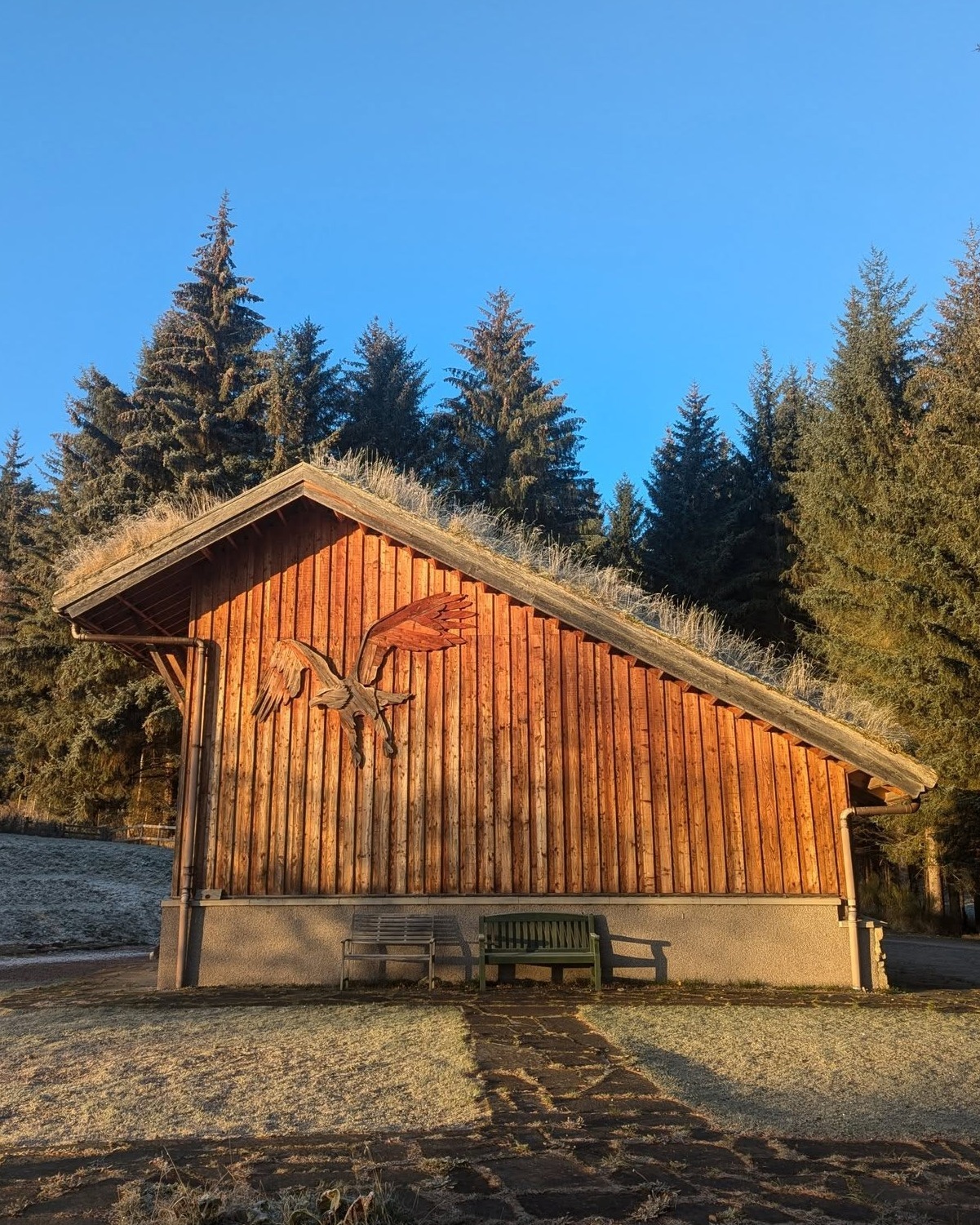 We're back in the office after our winter break, and looking forward to welcoming our first groups of 2025 soon! 🌳
.
.
.
#NewYear #Aigas #EnvironmentalEducation #OutdoorEducation #NaturedaysAtAigas #AigasFieldCentre #Wildlife #WildlifeEducation #WildlifeDiscovery #WildlifeDetectives #NatureDetectives #NatureEducation #DiscoverNature #Nature_Lovers #Highlands #Scotland