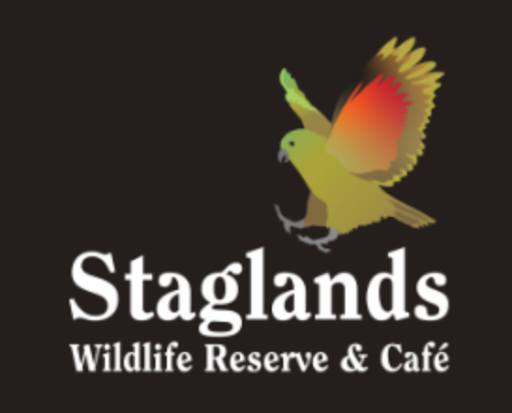 🦌 Big Thanks to Staglands Wildlife Reserve! 🎉
A huge shoutout to Staglands for their generous donation—a family pass valued at $78! 🏆✨
This amazing prize will go to the player having the most fun in the Grade 2 mini-tournament! 😄
Thank you for helping us celebrate the joy of the game! 🏒💙
Support those who support us: https://www.staglands.co.nz/
#ThankYou #GameOn #HockeyFun #WildlifeAdventure