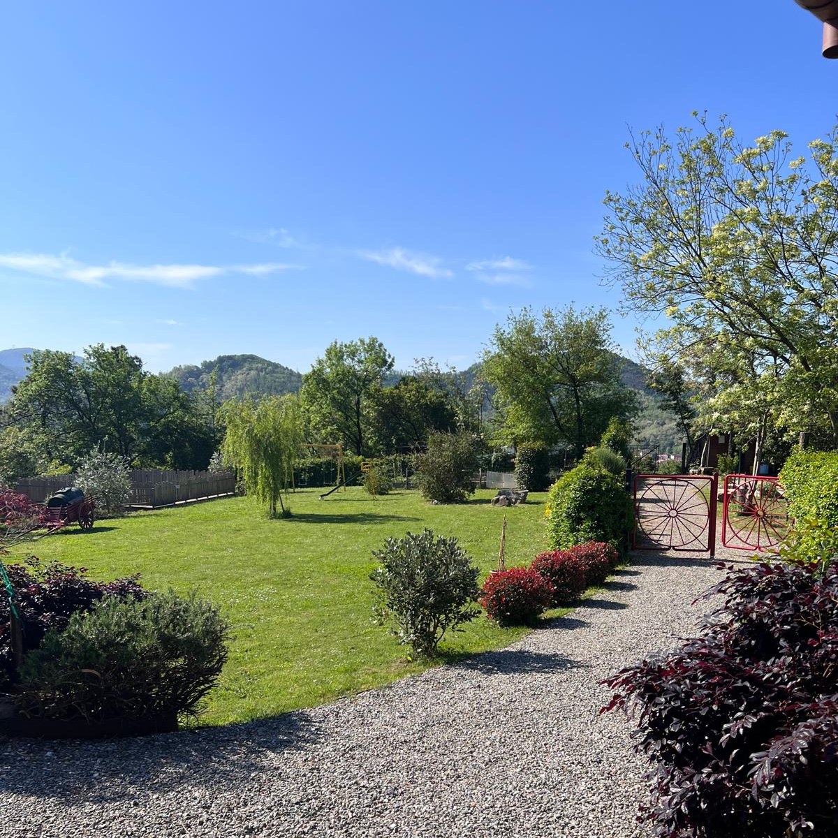 🌿 GRAZIE DI CUORE! 🌿
Le iscrizioni ai nostri Campi Estivi Green stanno andando alla grande e siamo felicissimi dell'entusiasmo dimostrato! 💚
📣 Ecco le ultime disponibilità rimaste – affrettatevi a prenotare il vostro posto!
📅 Date disponibili:
🔹 11–13 giugno → 9 posti
🔹 23–27 giugno → 2 posti
🔹 4–8 agosto → 3 posti
🔹 11–14 agosto → 14 posti
🔹 18–22 agosto → 2 posti
🔹 25–29 agosto → 2 posti
🌞 Natura, giochi, laboratori e tante avventure vi aspettano!
📬 Per info e iscrizioni: https://www.ilbardotto.com/summer-camps
#CampiEstiviGreen #Estate2025 #AvventuraNellaNatura #IscrizioniAperte