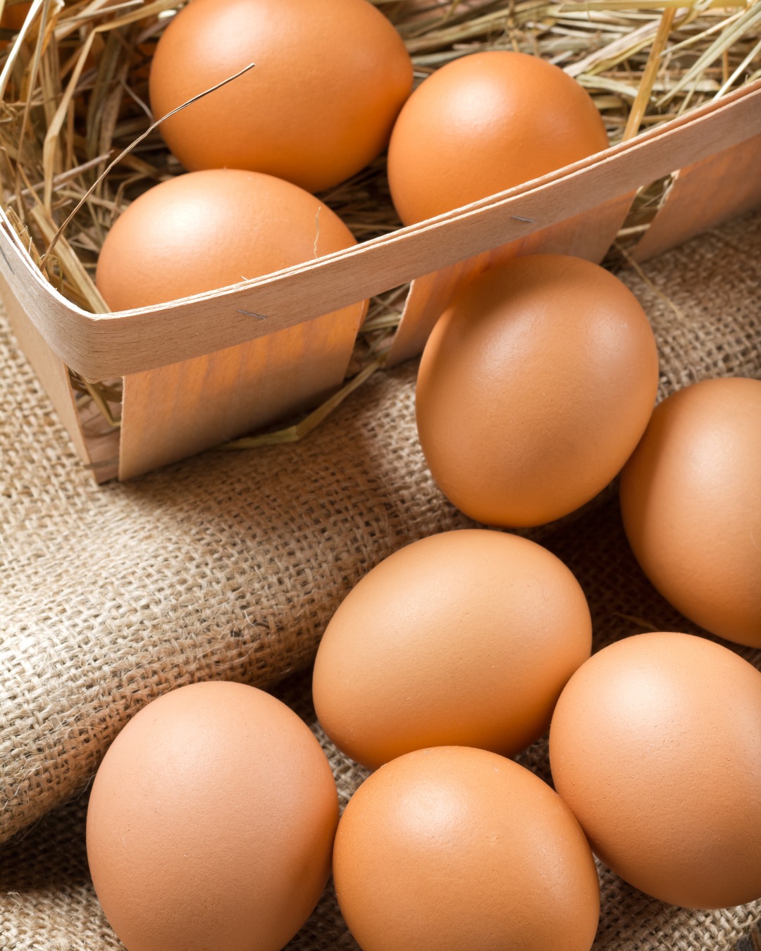 What Makes Our Eggs Different? Not all eggs are created equal, and once you’ve cracked one of ours, you’ll see (and taste!) why
At Mother Hen Eggs, every box and tray of eggs comes from happy, free-range hens who spend their days roaming the fields, perching in trees, and rolling around in sandpits. No crowded sheds, no long supermarket storage, just freshly laid, golden-yolked eggs, delivered straight to your doorstep within days. Available in quantities from half a dozen to trays of 120 eggs!
✨ Ethical farming
✨ Richer flavour & colour
✨ 100% free-range
✨ Delivered fresh, fast, and free
Taste the difference for yourself, your breakfasts will thank you 🍳