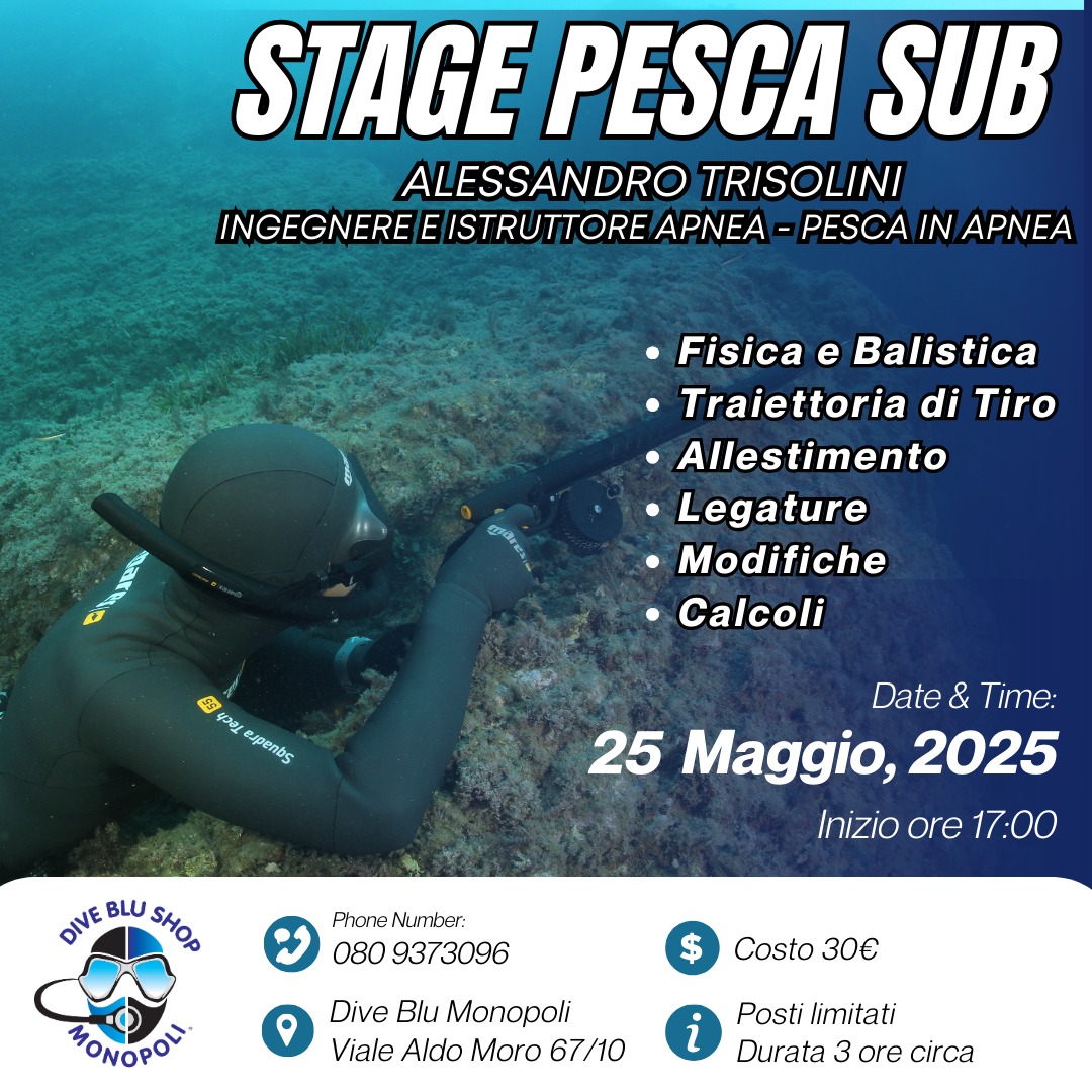 📢 Non farti scappare questa opportunità!!!
⭕ Extra sconto su fucili, elastici ed attrezzatura per apnea, dedicato ai partecipanti dell'evento
Richiesta la prenotazione all'evento
.
.
.
Contattaci per ulteriori informazioni.
📞0809373096
📍 Viale Aldo Moro 67/10 Monopoli
💙 #DiveBluMonopoli 💙