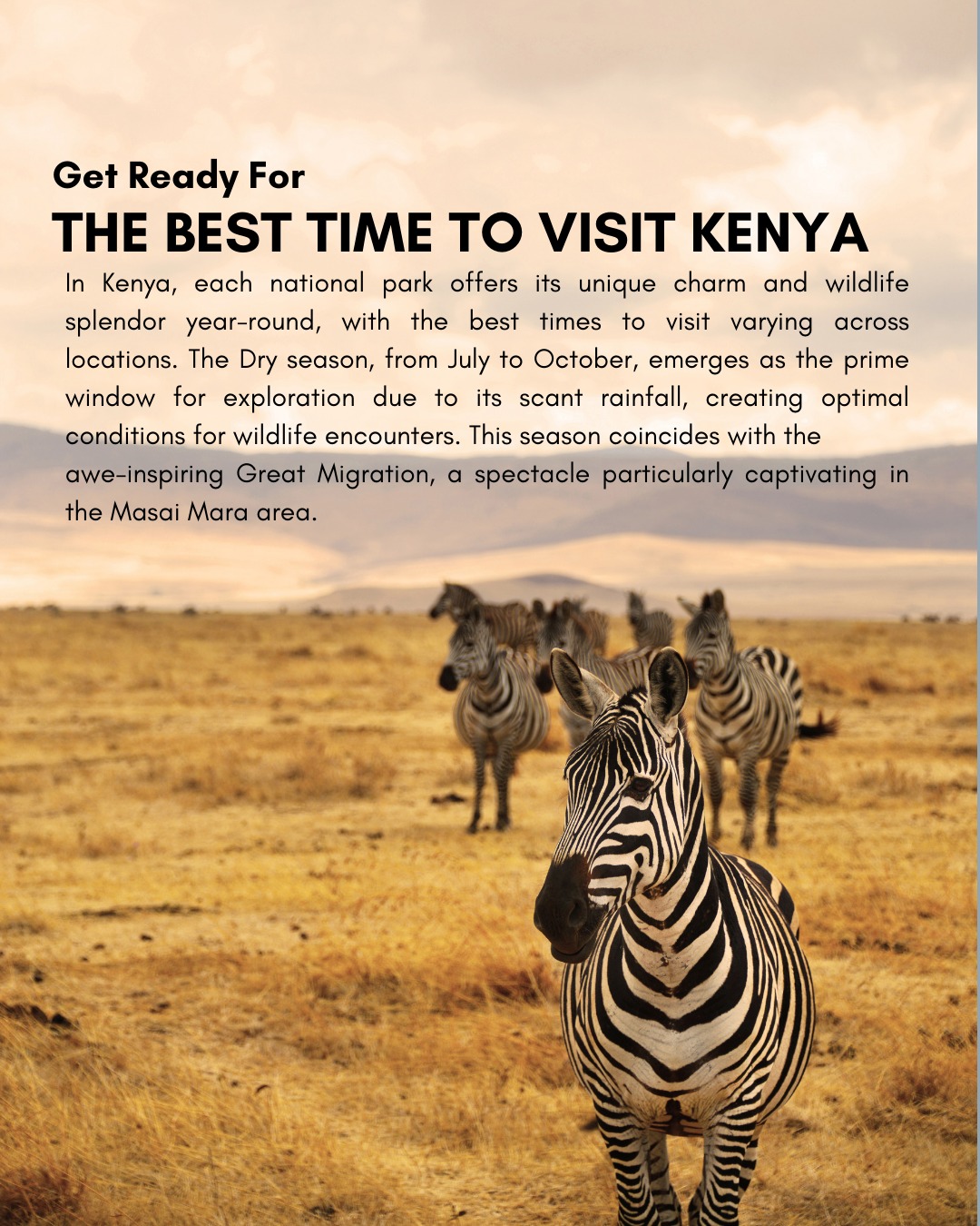Get Ready for the BEST TIME to VISIT KENYA'S Safari!!
#ExploreArusha #TripQuest #wildAfrica #safariadventure #africatravel #africatour #KenyaSafari #NgorongoroSafari #WildlifeAdventures #TanzaniaTravel