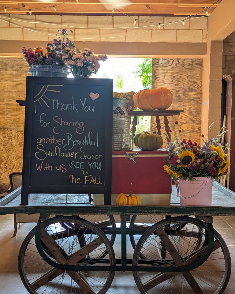 Spring Sunflower Season Has OFFICIALLY ENDED. Thank you for a Spectacular Spring Sunflower Season. It was wonderful to see you all return for such a beautiful and fun time. It was amazing to meet all the new additions to your families and all the 1st time attendees that have now become part of our annual event. We hope you have a fantastic and safe summer. We will see you back this Fall for all the corn maze, pumpkin patch and apple cider fun. can't wait. FYI in this picture taken today(5/26) are 4 of the heirloom pumpkins I have held onto from the start of last year's Fall season. Just amazing, they still look great. See you in the Fall ๐ฉ๐ปโ๐พ๐ง๐ผโ๐พ๐