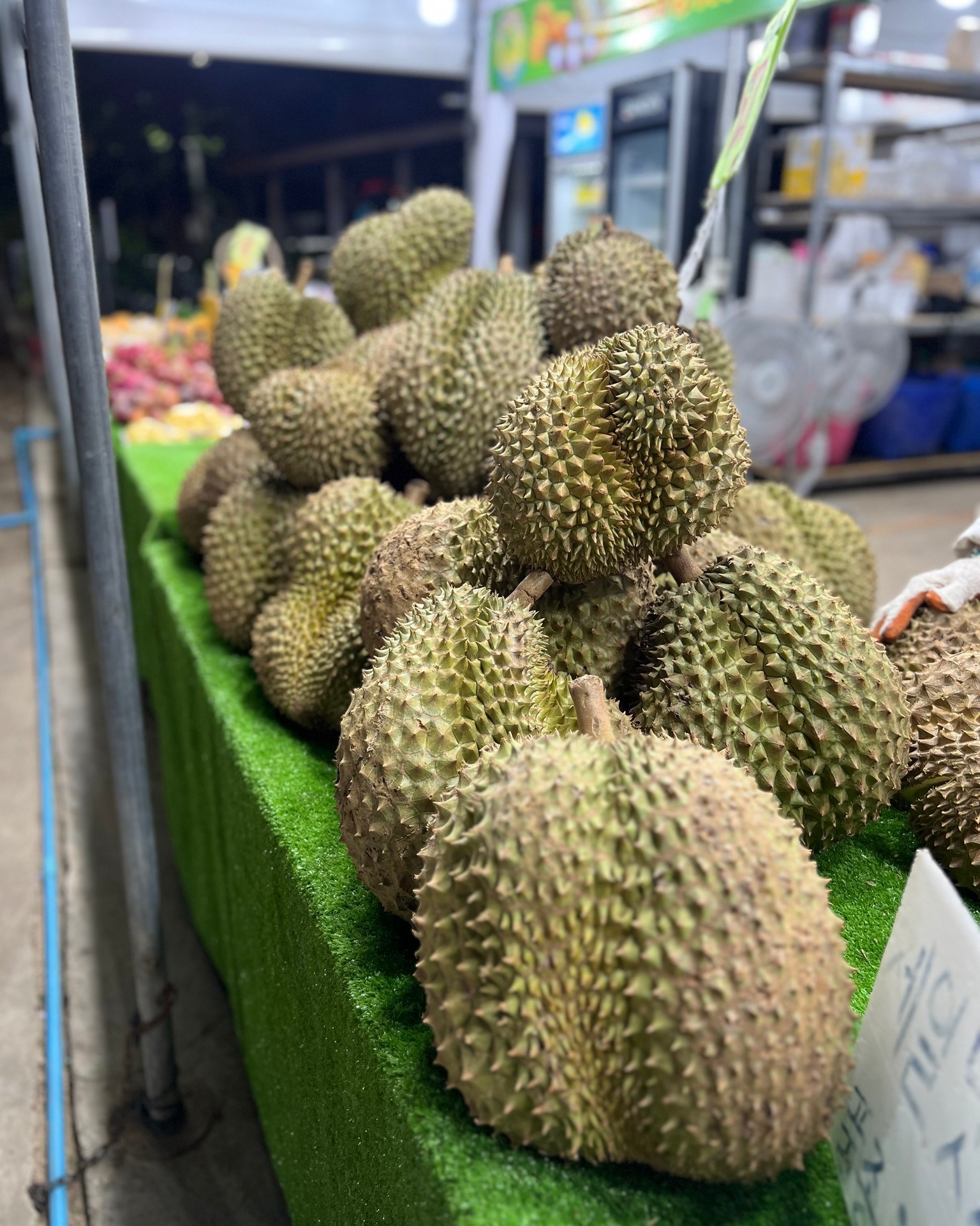 It’s Durian Season in Thailand! 🌞🍈
From May to August, the streets and markets of Chiang Mai come alive with the king of fruits: durian. You either love it or hate it — but you have to try it at least once!
Chiang Mai’s vibrant food and fruit markets are the perfect place to experience fresh tropical flavors. From juicy mangoes and mangosteens to grilled snacks, noodles, and local sweets — it’s a true paradise for food lovers. 🥭🍢🍜
Come explore the tastes (and smells!) of Northern Thailand. 🧡
📍 Favorite market? Let us know in the comments!
#ChiangMaiEats #DurianSeason #ThailandFoodie #ChiangMaiMarkets #ThaiFruit #MangoMadness #StreetFoodThailand #FoodieAdventure #TravelChiangMai #TasteThailand