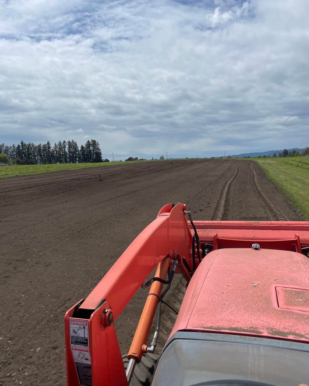 We are officially doing a pumpkin patch again this year! We will have your traditional pumpkins as well as warty, yellow, mini, and gourds.