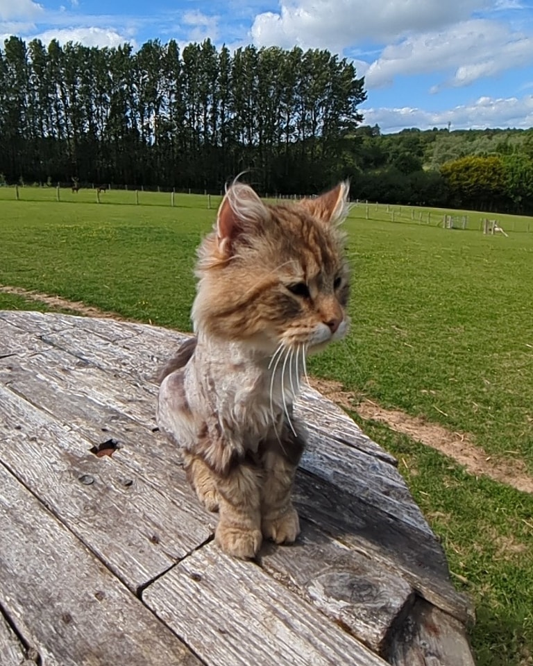 Marshall surveying his kingdom, for the first time in his life he has complete freedom and boy is he loving every minute of it .
No more living in hell used as a breeding machine for profit .