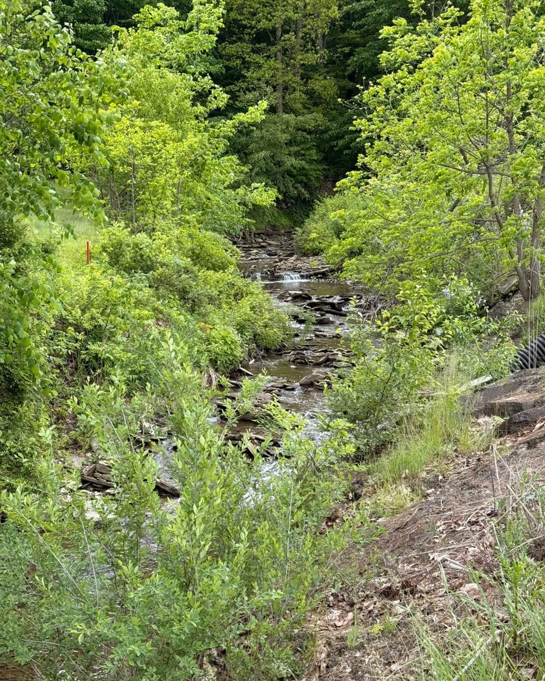 Natures cool… yankeerungolfcourse
#golflifestlye #smallbusinesses #golfswing #golffashion #golfbabes #pga #hoodie #shirt #social #golf #hat #golflife #golfer #apparel #fashion #golfers #local #puttercoverswag #cover #puttercoverporn #collection #drop #pgatour #drip #puttercoveraddict #puttercover